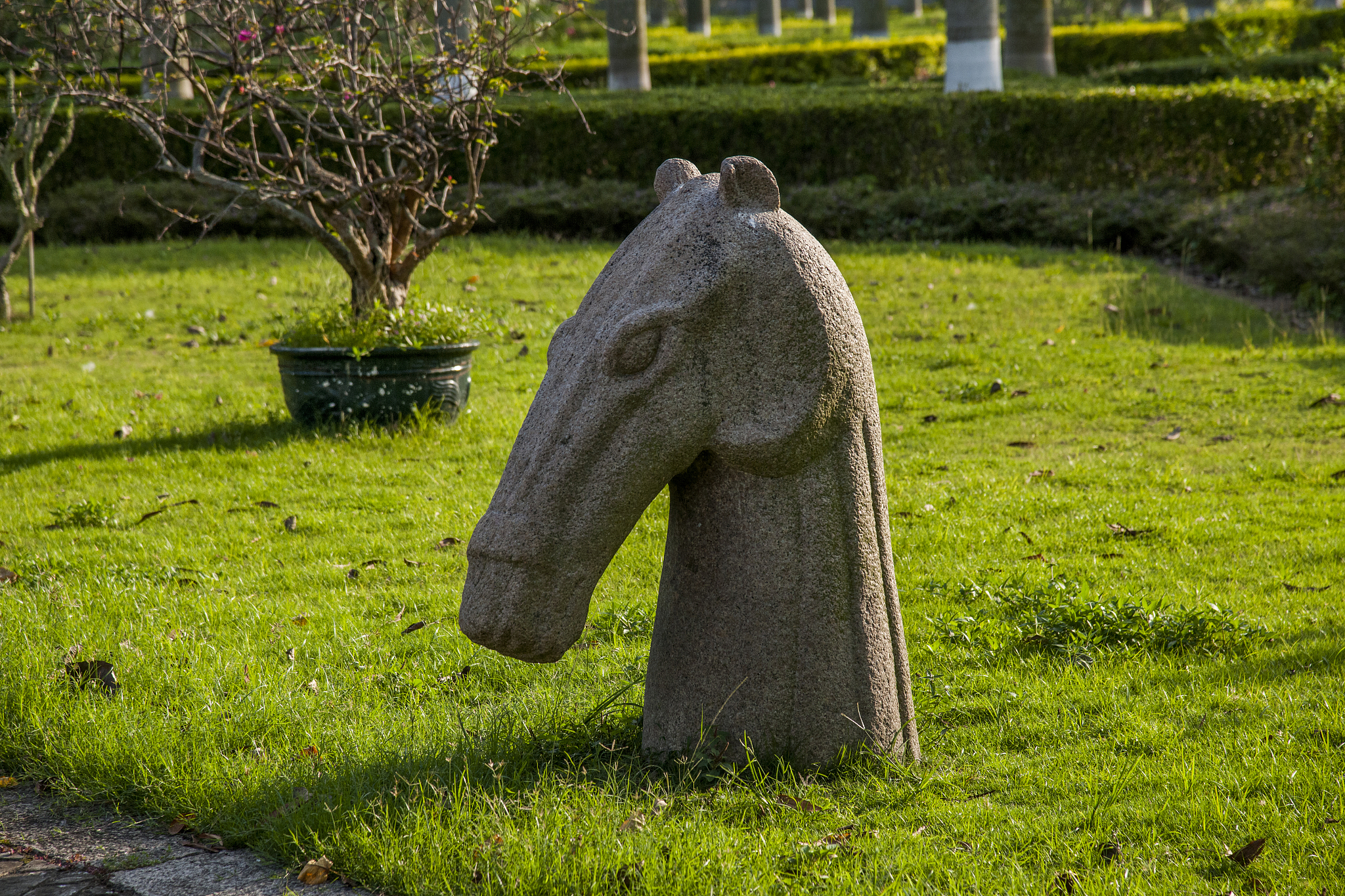 小溪衣食无忧开什么生肖