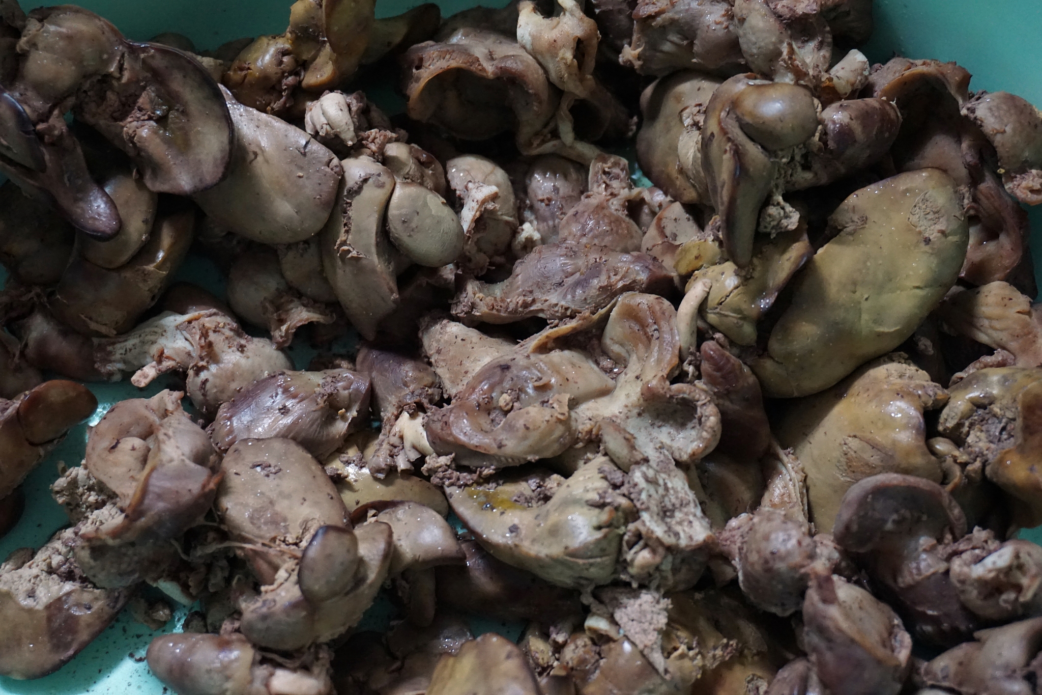 鸡肉消化特性研究：冻藏时间的影响