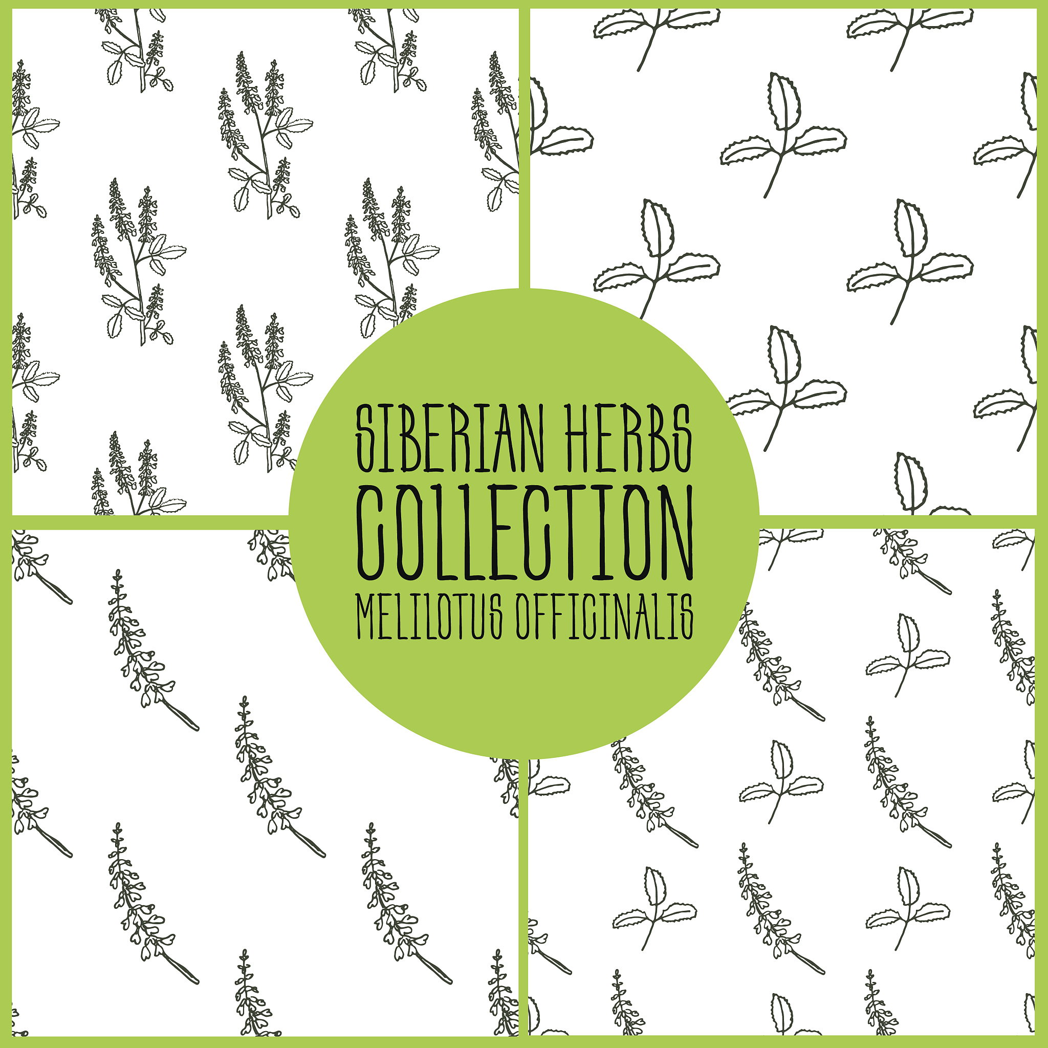 初中英语生态写作课堂自主学习模式构建策略