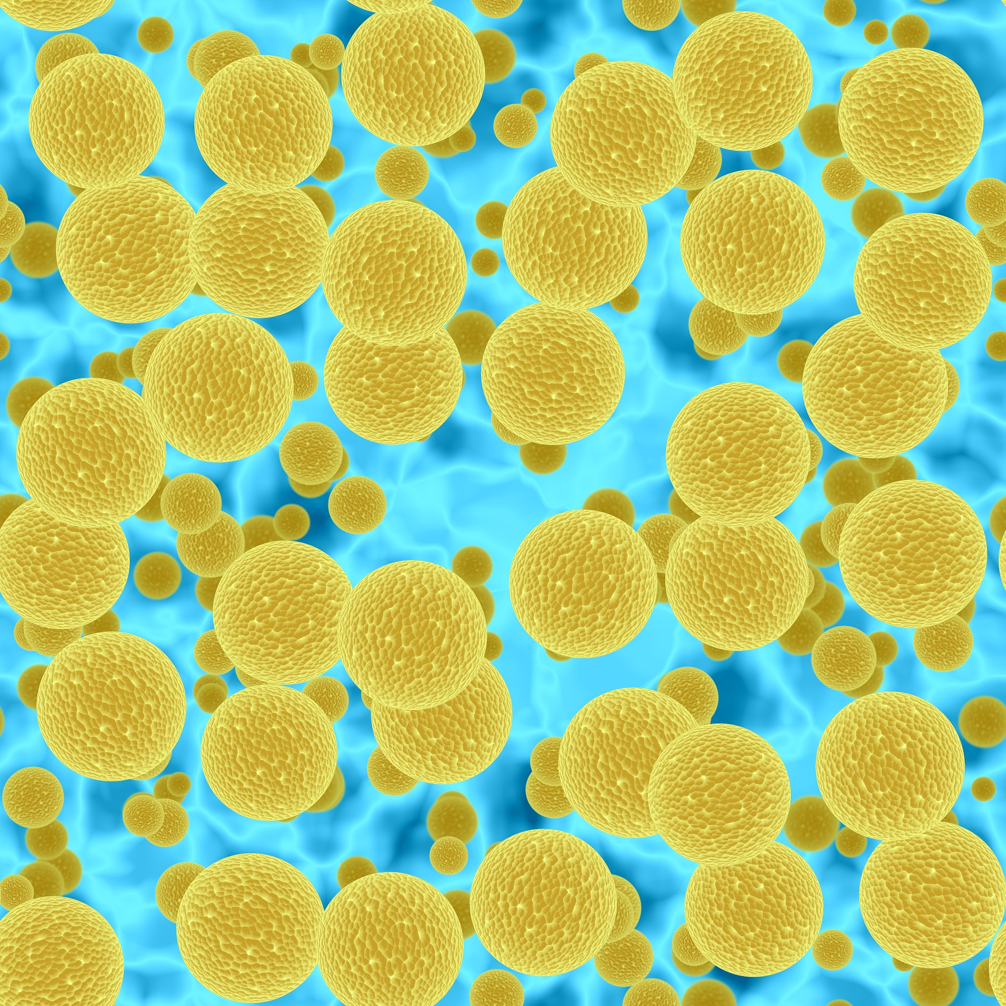 金黄色葡萄球菌促使巨噬细胞释放NO