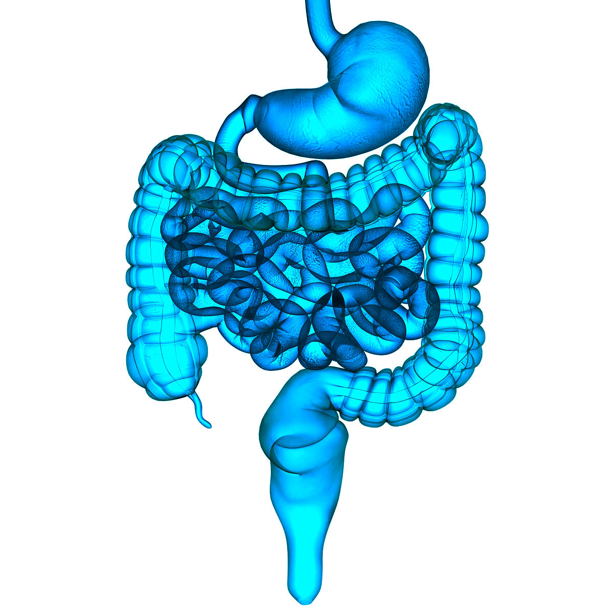 口腔修复工艺专业有哪些培养目标