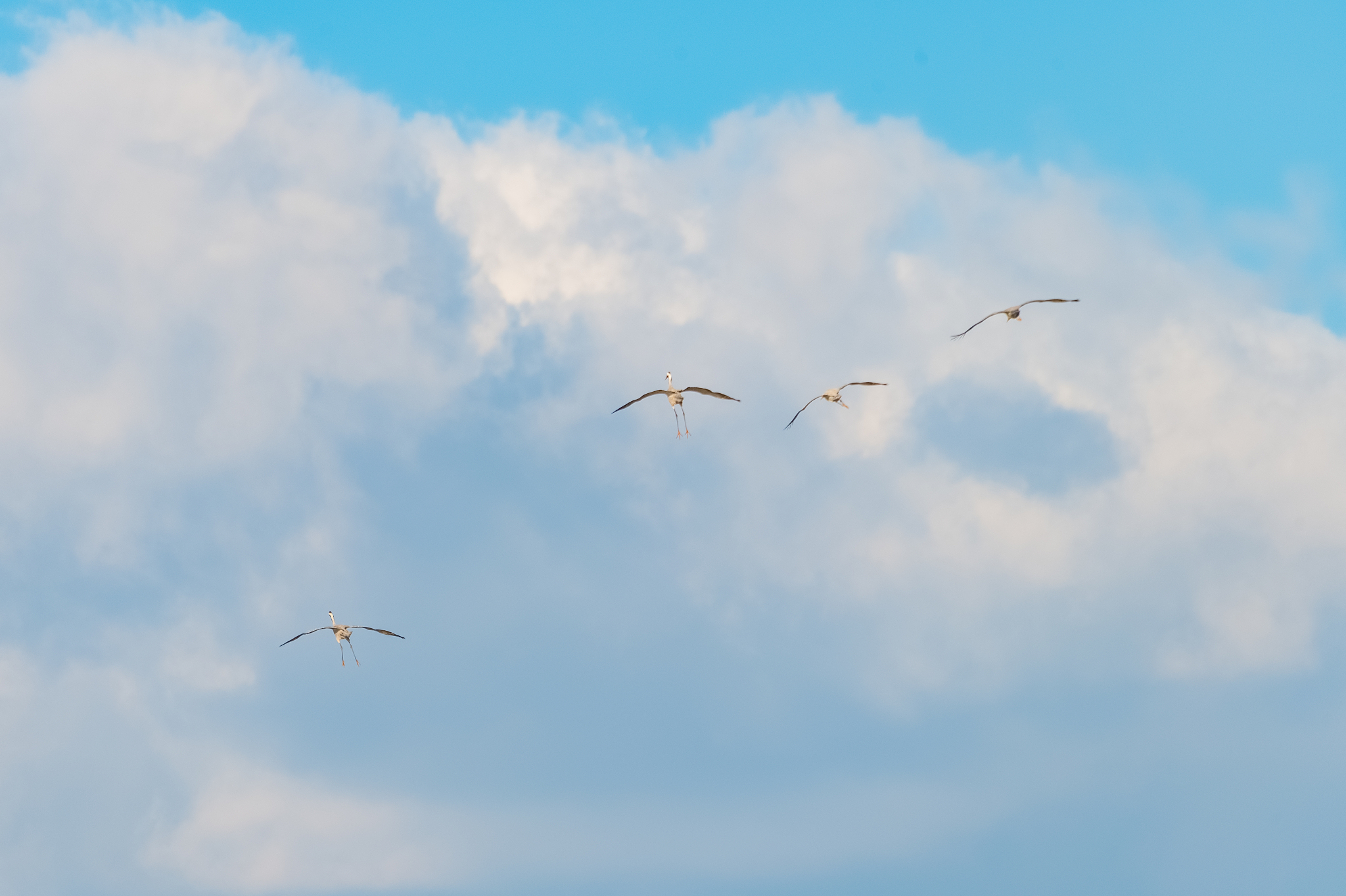 曲靖应用技术学校2019年三年制普通中专五年一贯制大专招生专业