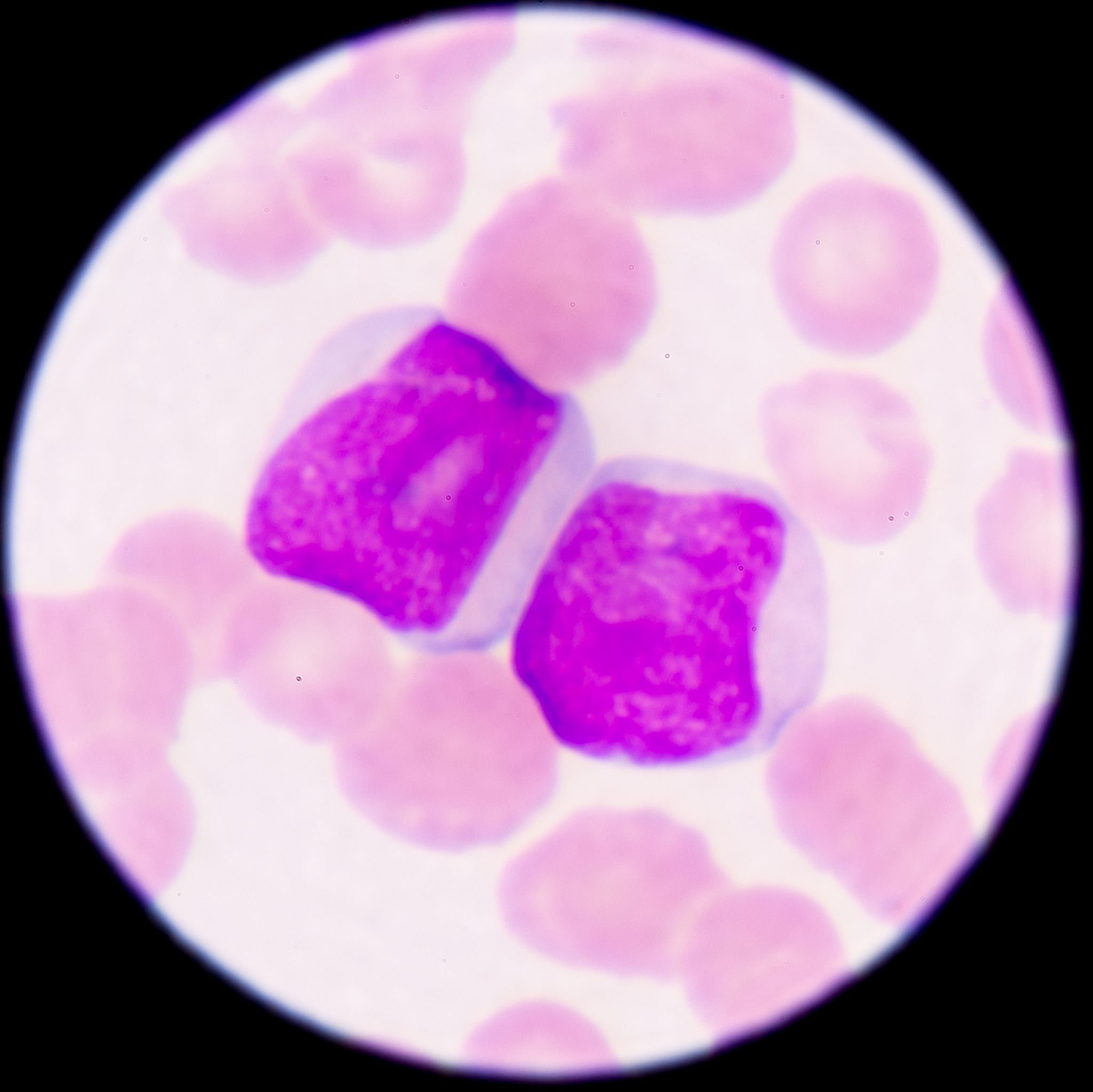 质性访谈中的受访者：参与者而非考察对象