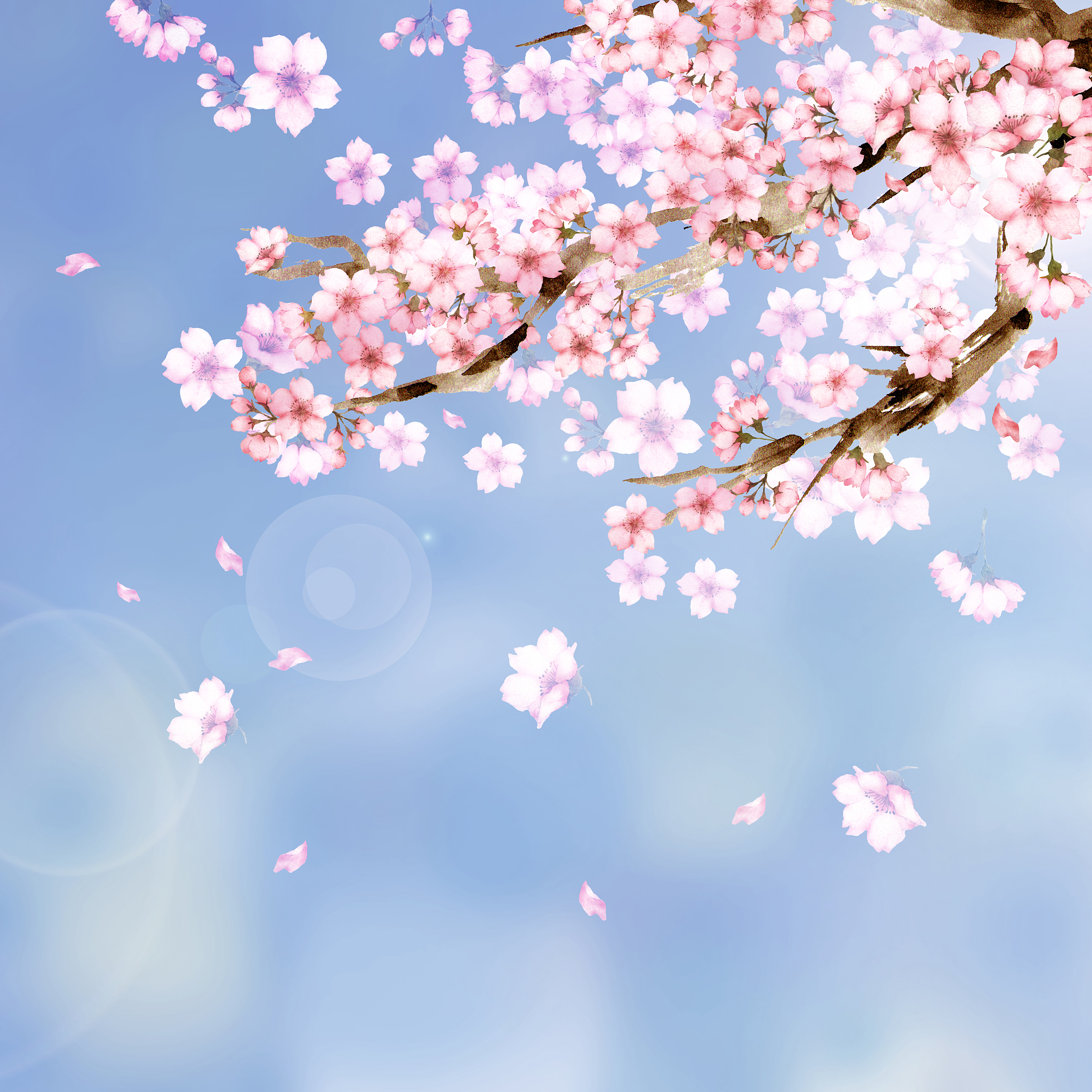 HTML+CSS+JS实现淡粉色樱花飘落动画，鼠标经过有排斥效果