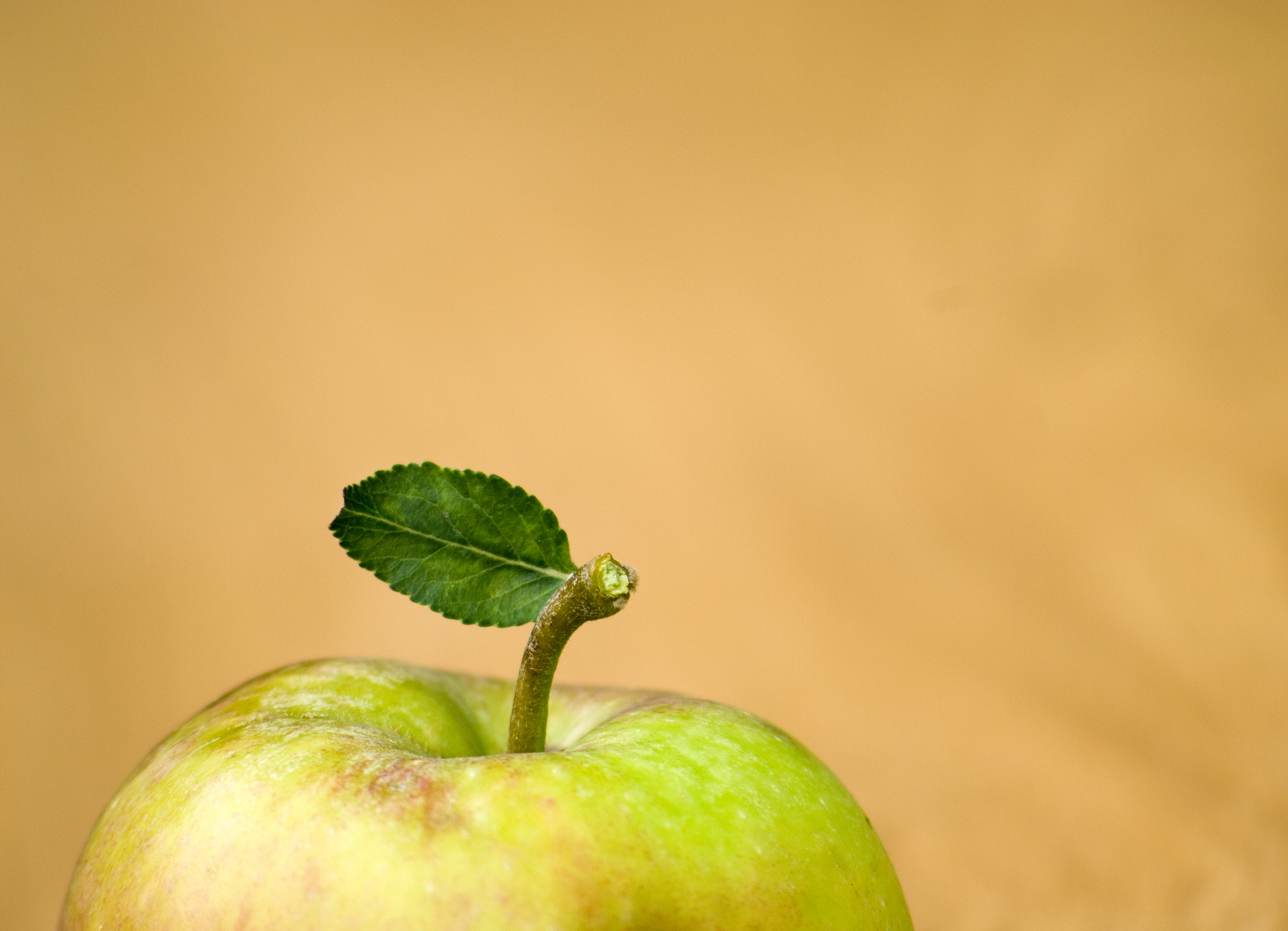 apple