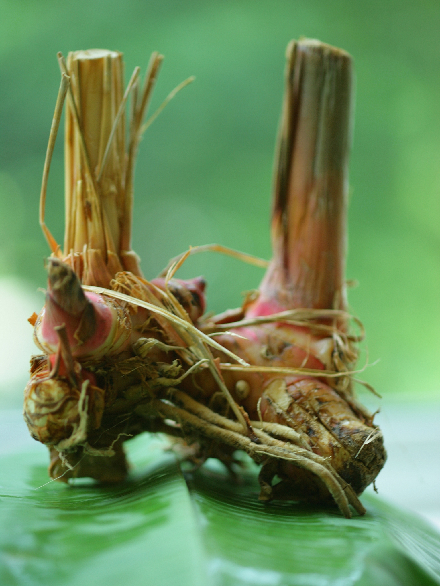 小米手机下载的字体 存放在哪里？