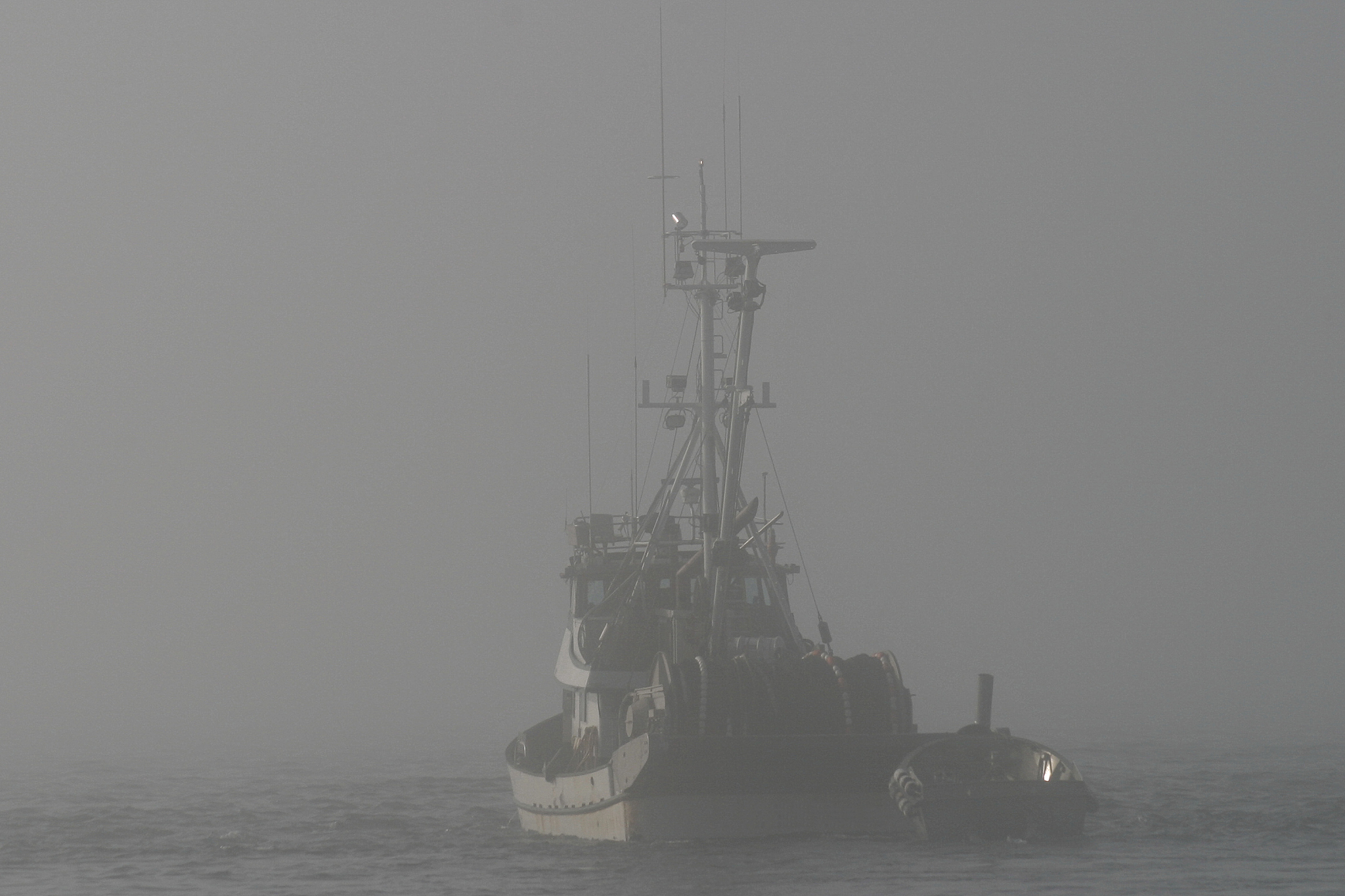 fishing boat on a very foggy morning
