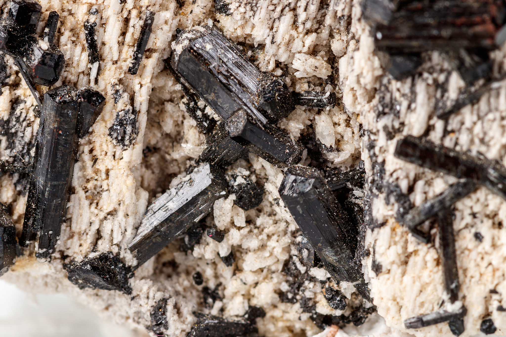 macro mineral stone schorl, black tourmaline on the feldspar on 