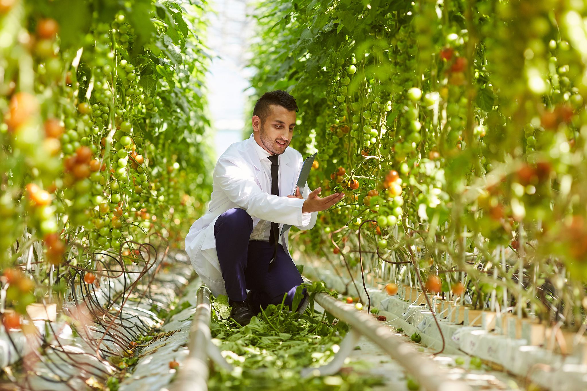 毕节农业学校2020年有哪些专业