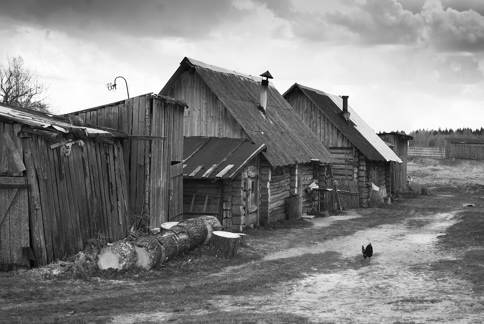 The Chinese Path to Modernization: Balancing Material and Spiritual Development