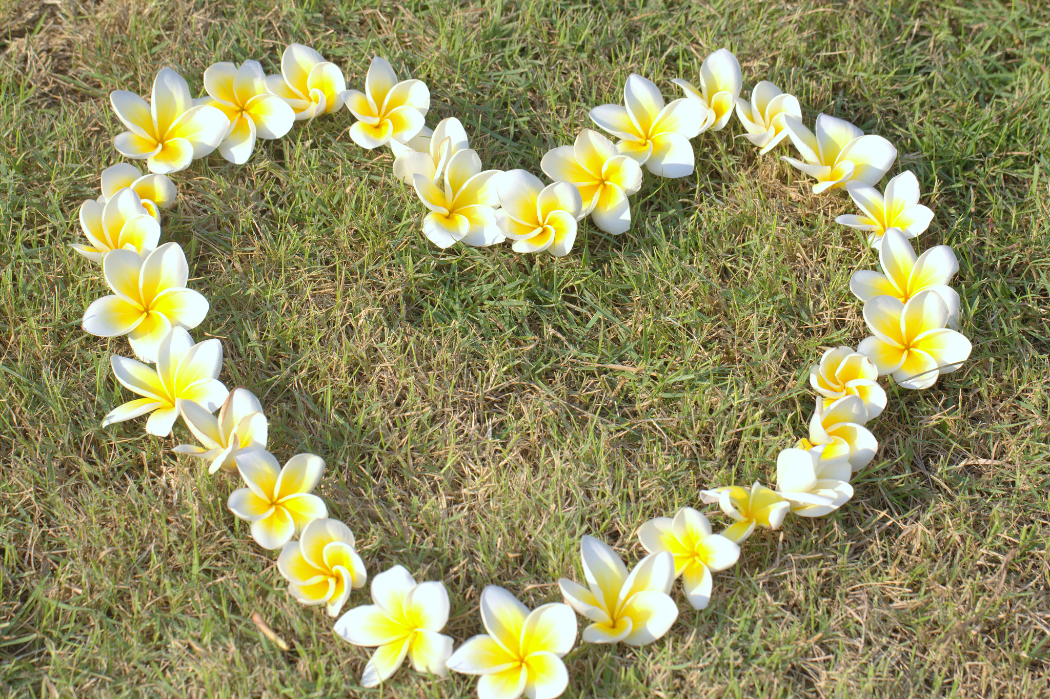 我喜欢你所说的我也相信我们需要更多的笑承担更多的风险爱得更深我喜欢你所说的发自内心的微笑那感觉很好!