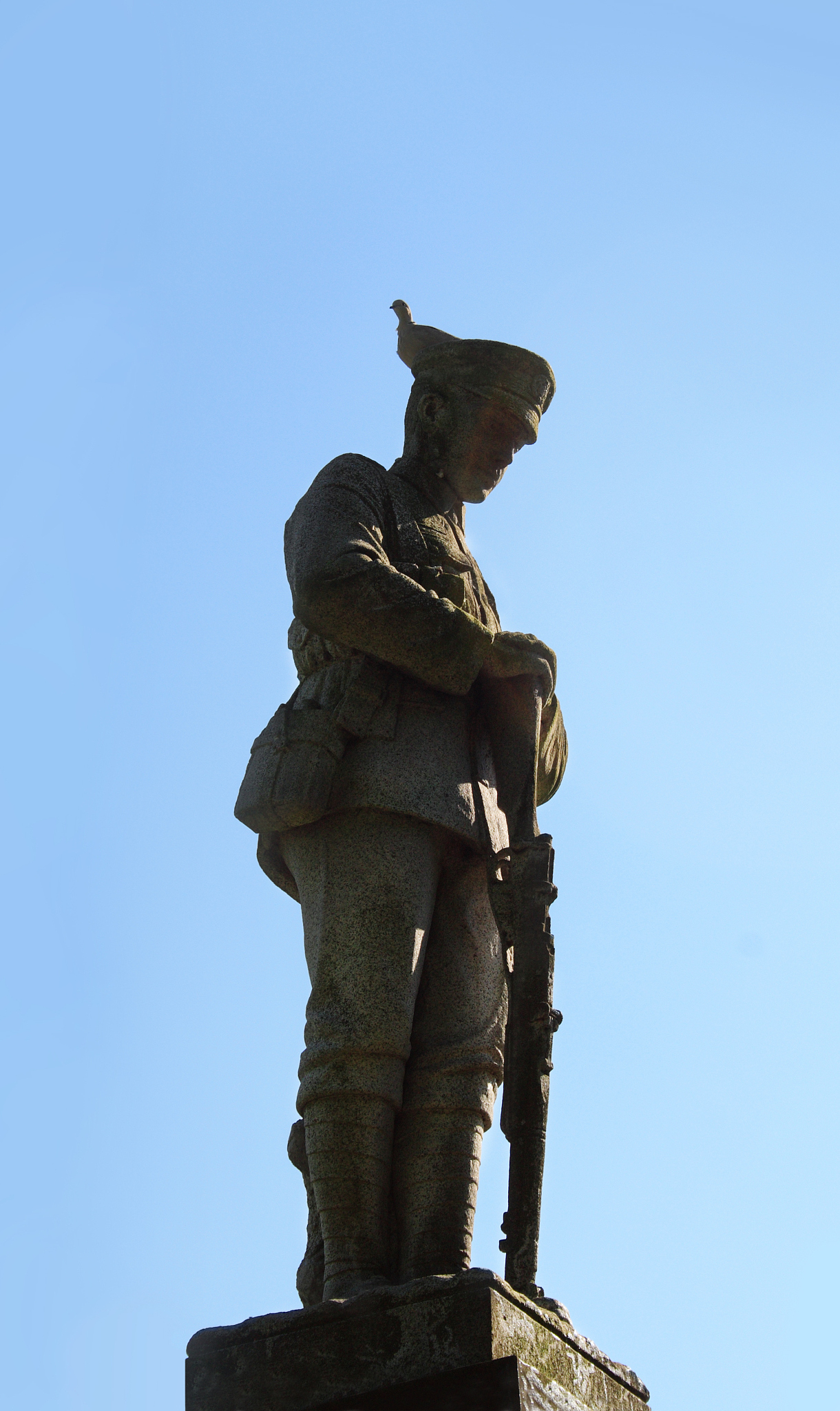soldier staue with pigeon