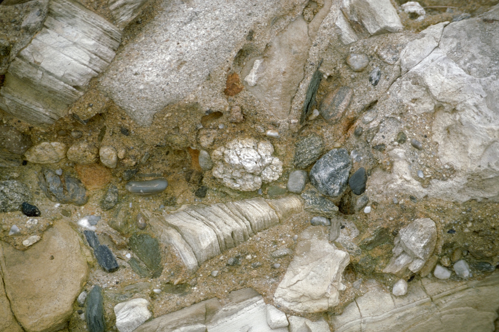 石油是什么产生的