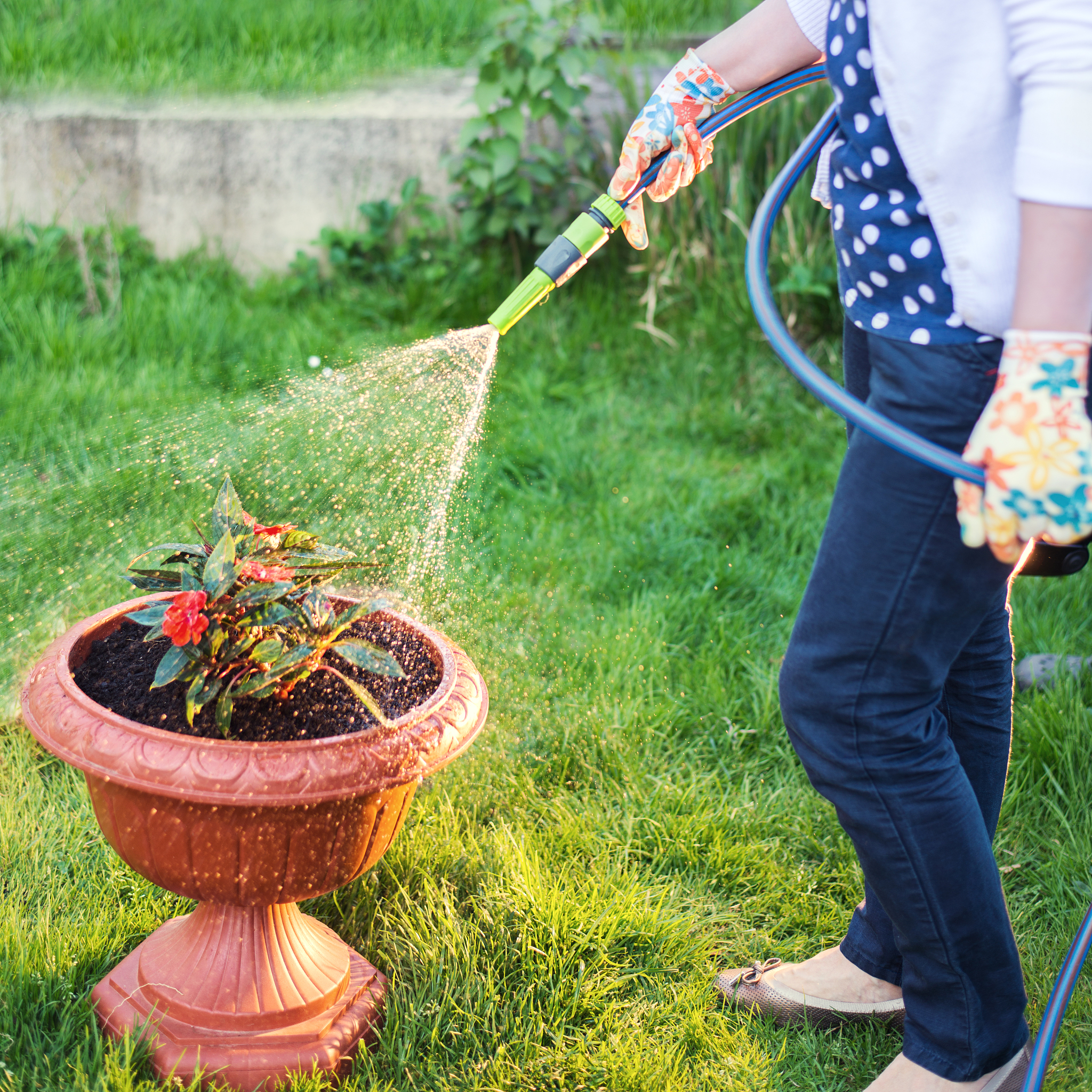 高效除草，打造完美花园 | 除草剂广告语