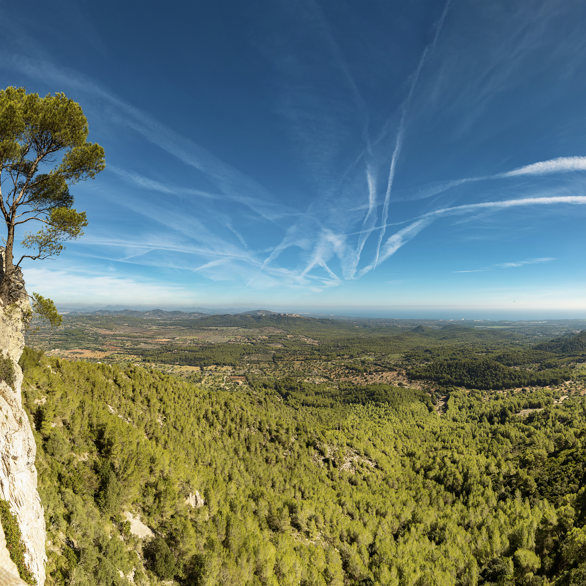 用英语简单写出梭罗瓦尔登湖的主题以及作家的文学理论
