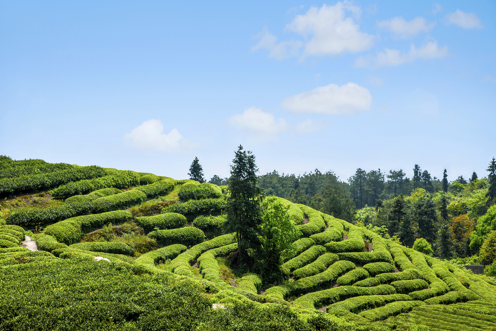 重庆2021读幼师学校有什么专业