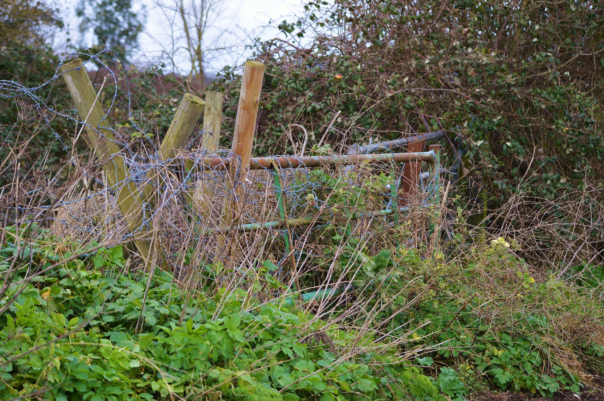 明天我和弟弟去乡下的后山捉迷藏我把弟弟藏在什么地方不容易被找到