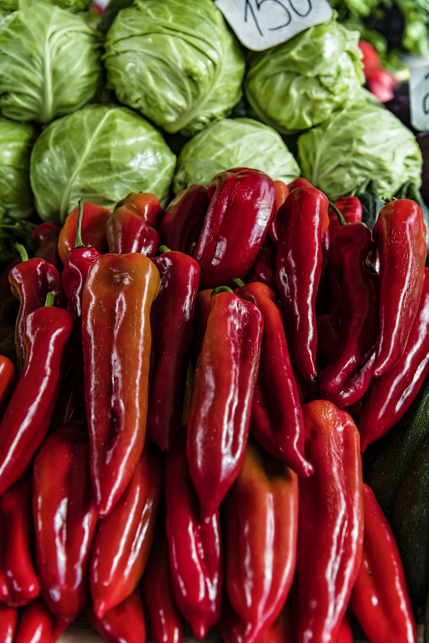 济宁农业学校园艺专业怎么样