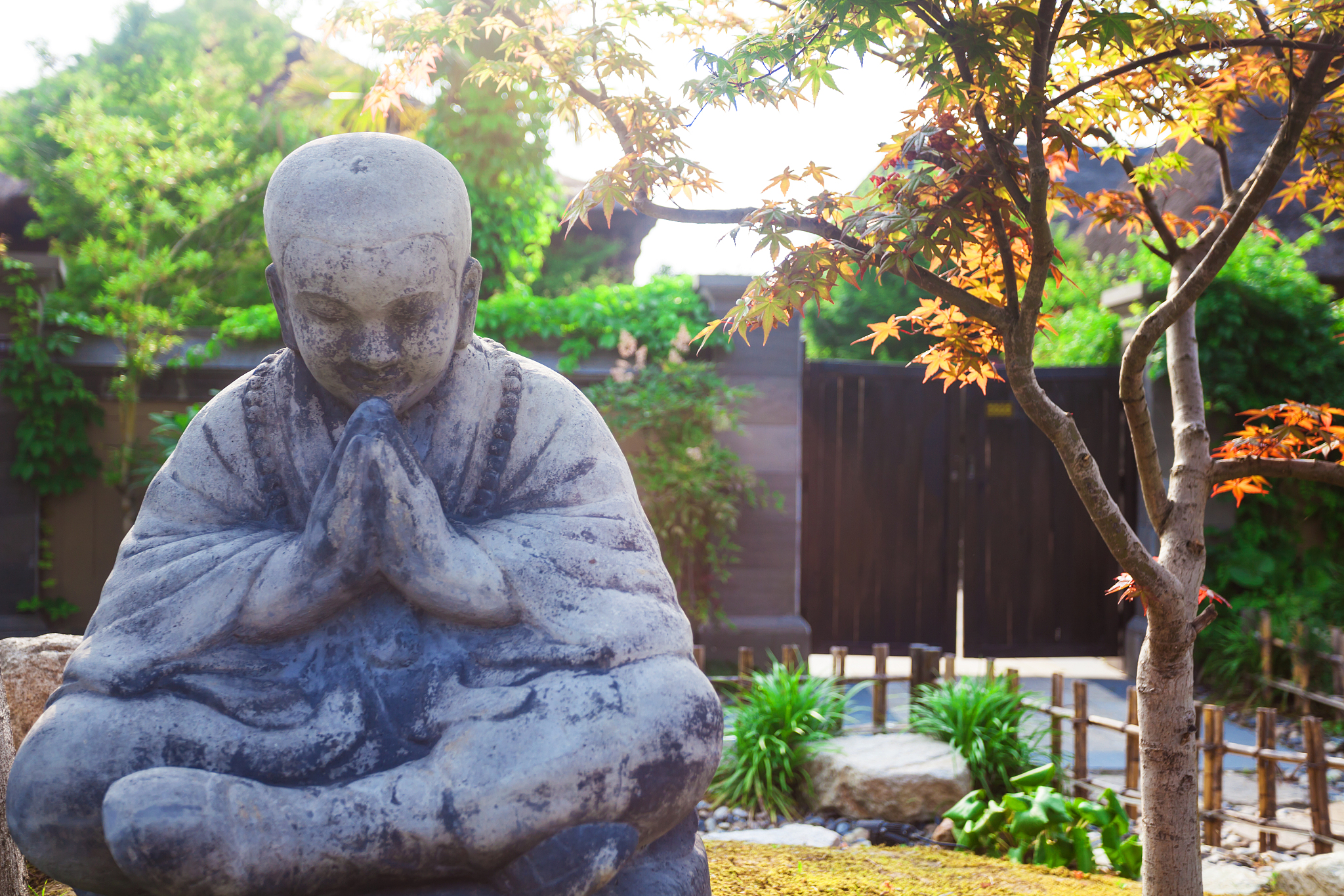 小德川流大德敦化：禅宗的核心思想和精神解析