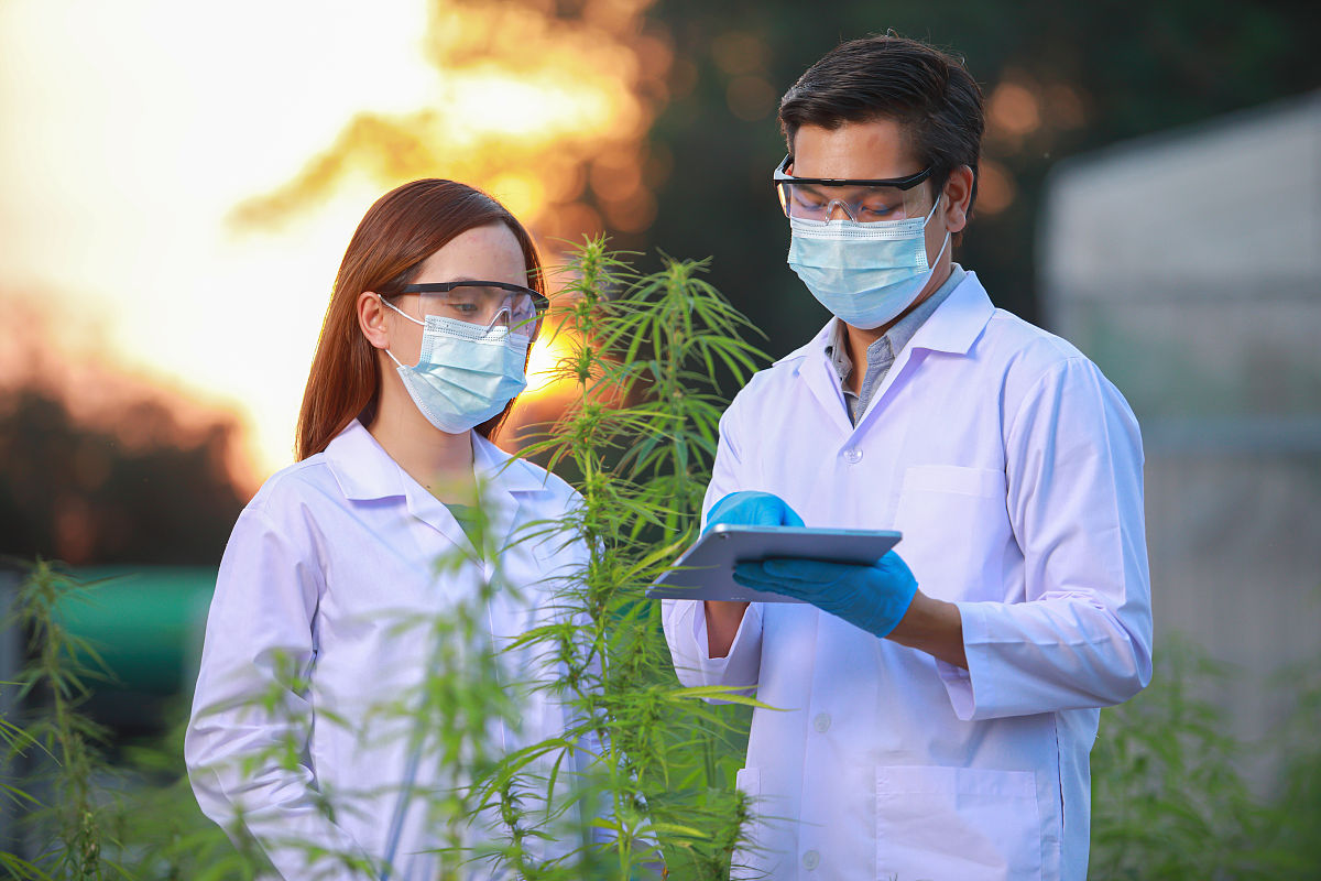 黔西南民族职业技术学院中草药栽培与加工技术专业课程设置及就业前景