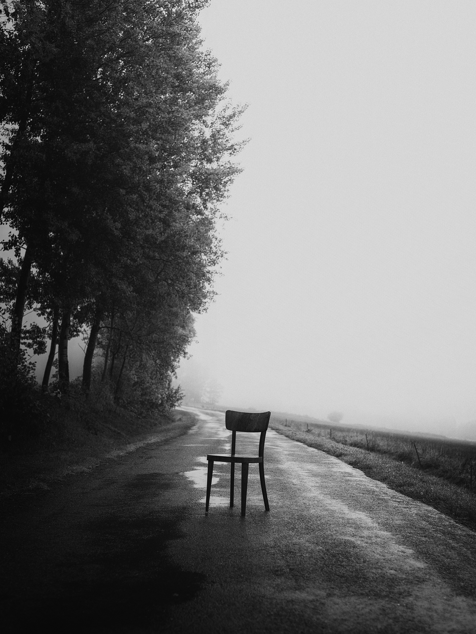 孤寡不谷是什么意思？详解词语含义及运用