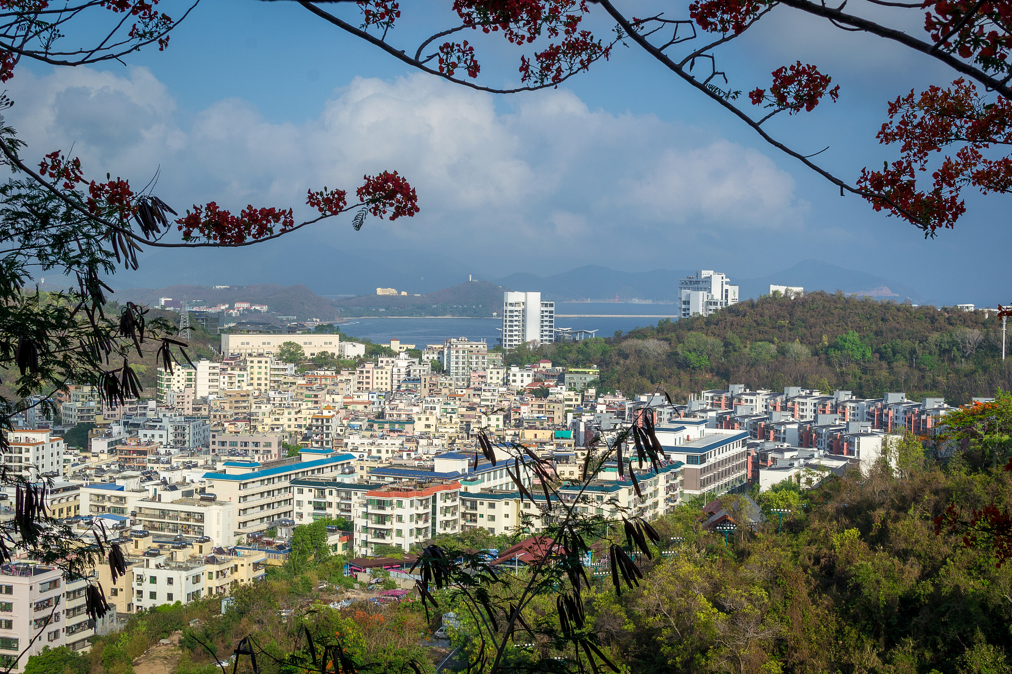 view of one of the areas of sanya from a high point. china. city