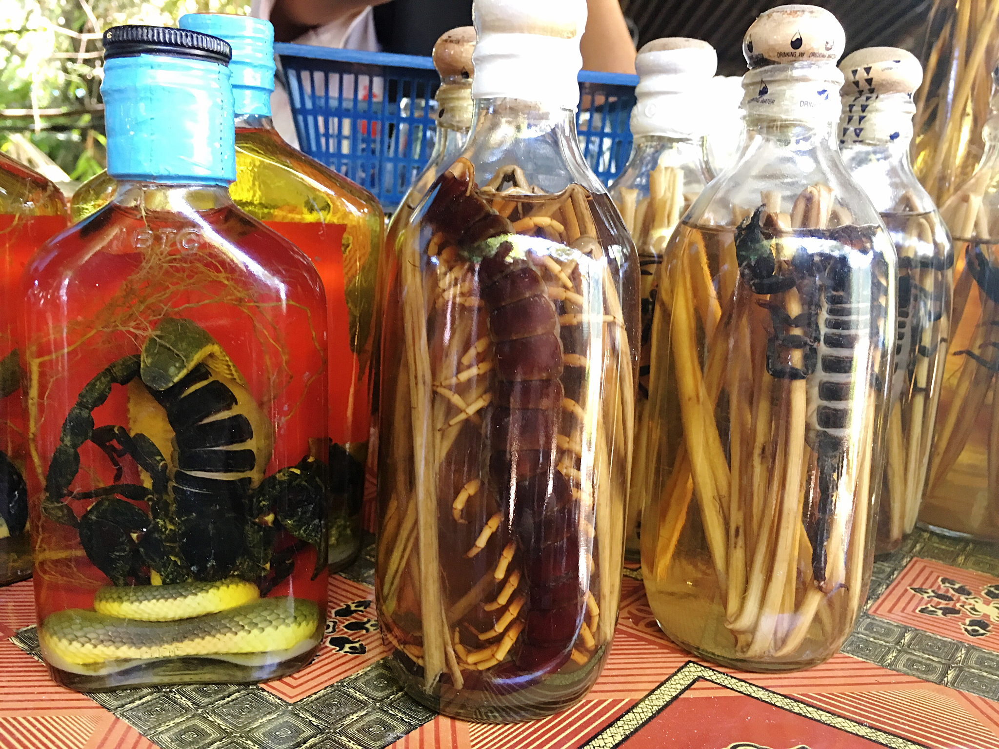 蛇酒泡了10年还能喝吗？专家解答！
