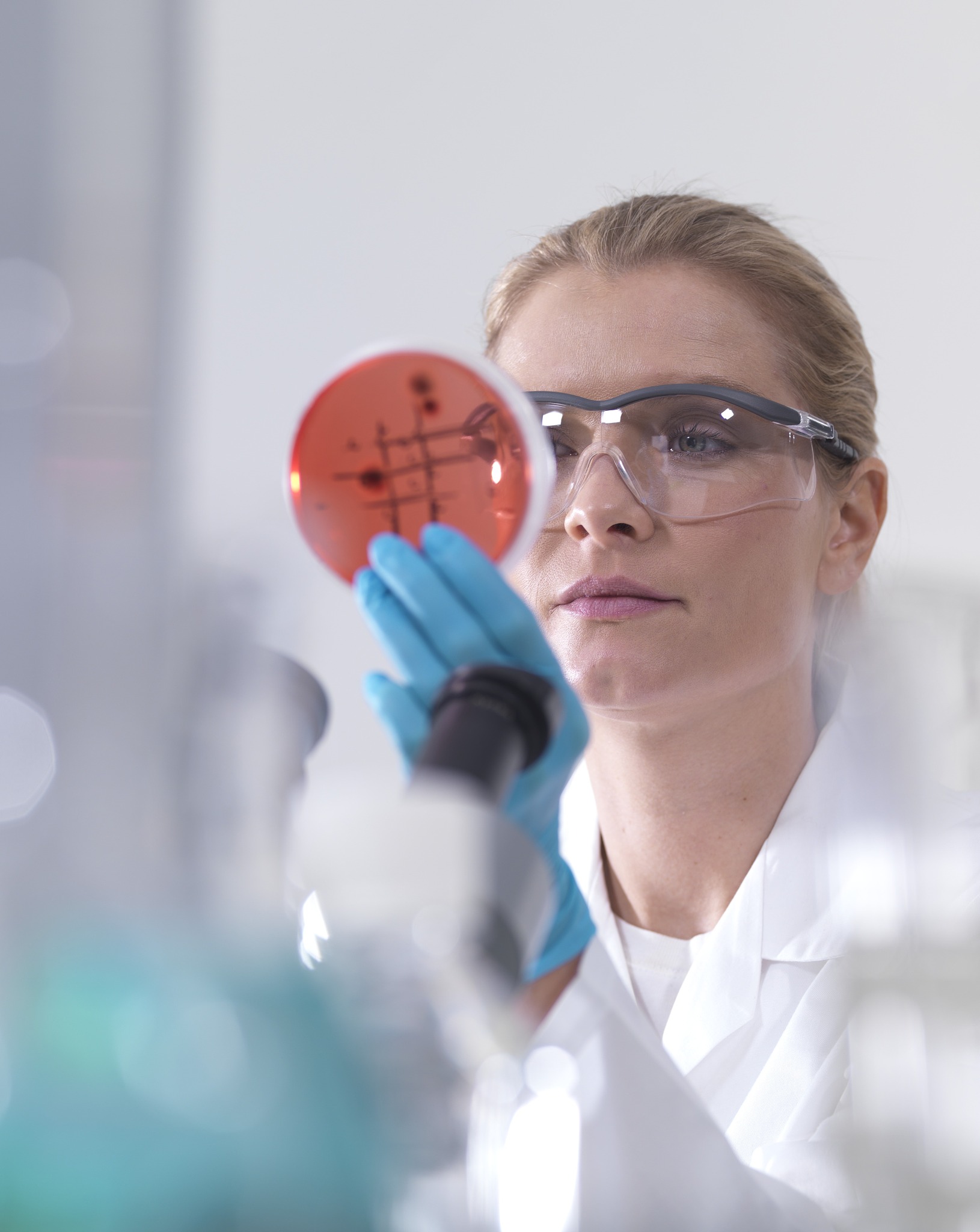 科学教育出版社六年级上册微生物与健康教学的得与失1000字