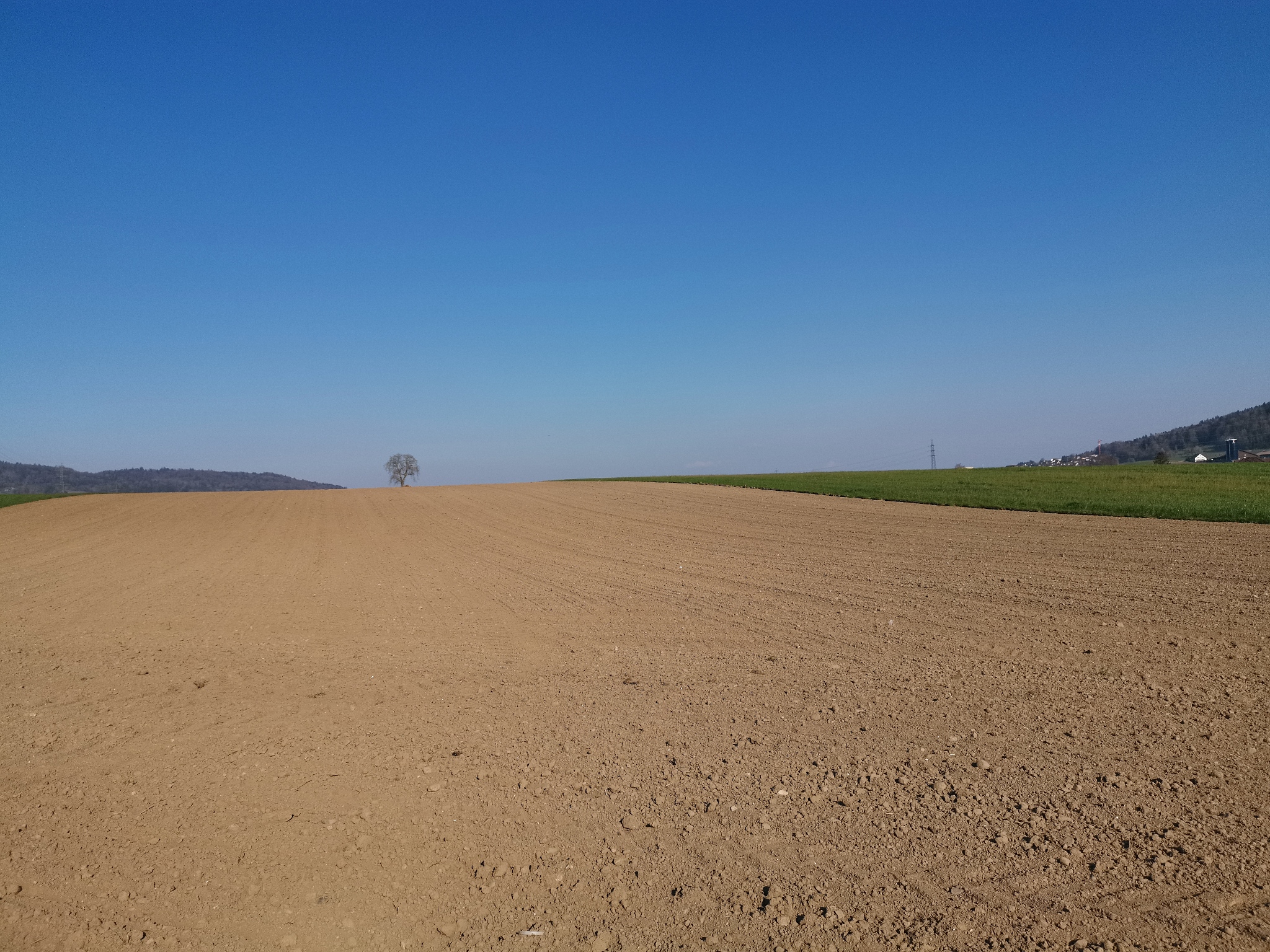 scenic view of field against clear blue sky