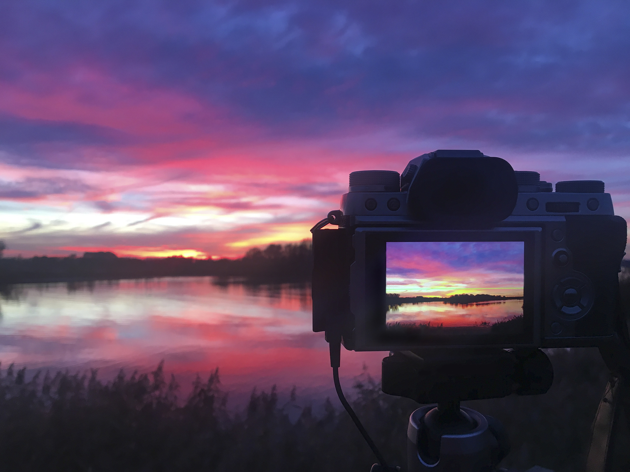 摄影自媒体博主必备内容：照片、技巧、教程，全方位提升你的摄影技能！