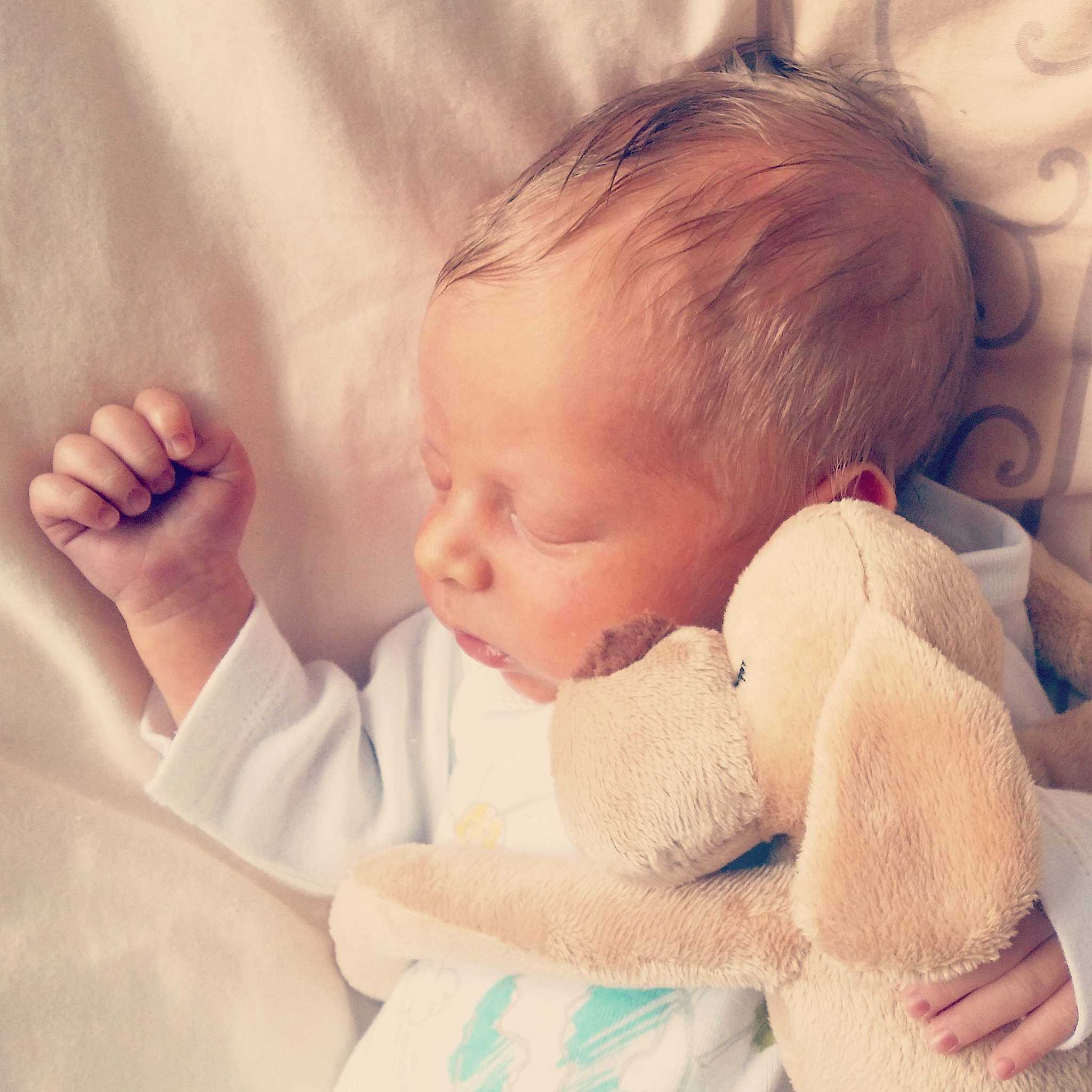 一年级大个子二年级小个子：家长寄语，帮助孩子成长