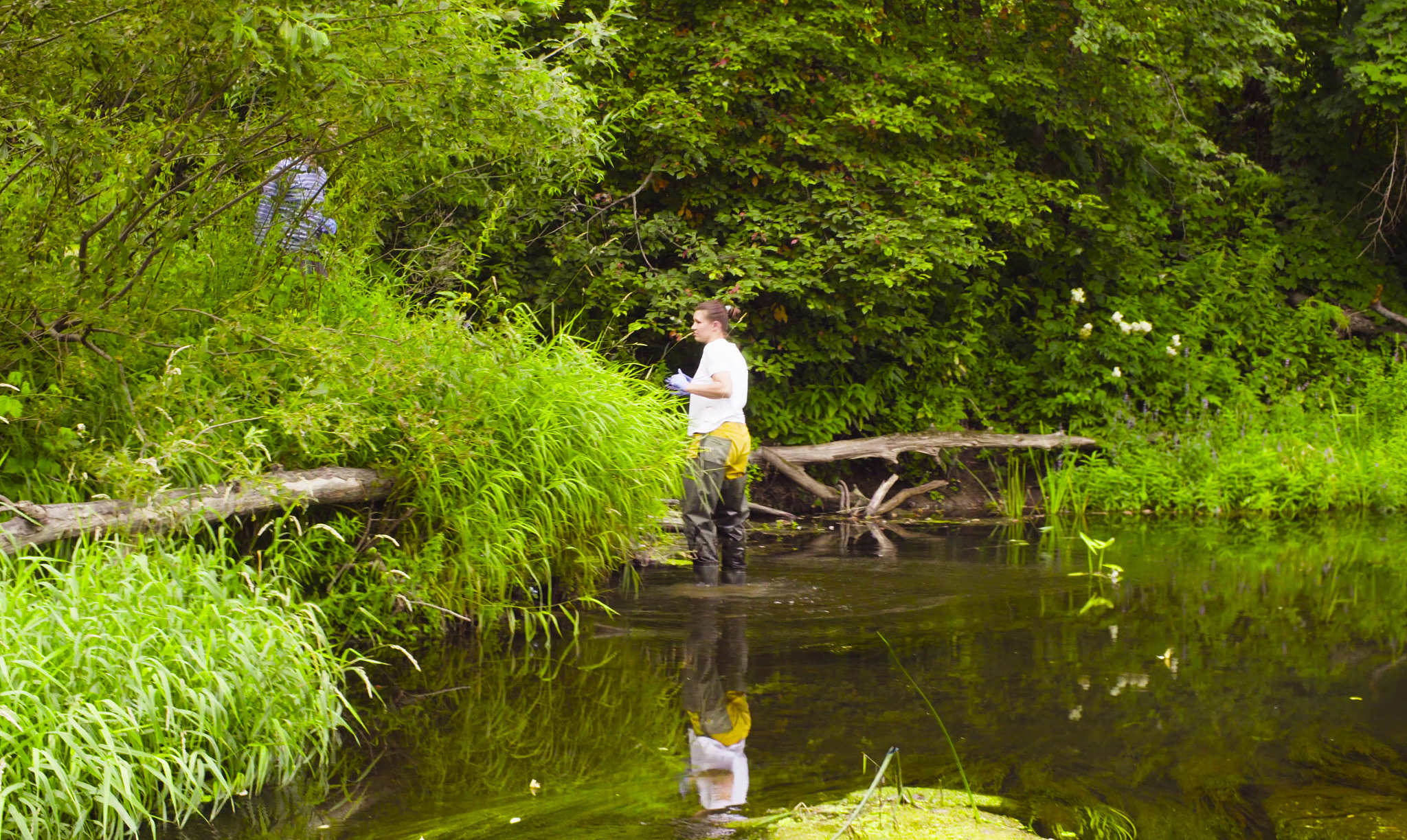 庆阳林业学校2021年有哪些招生专业