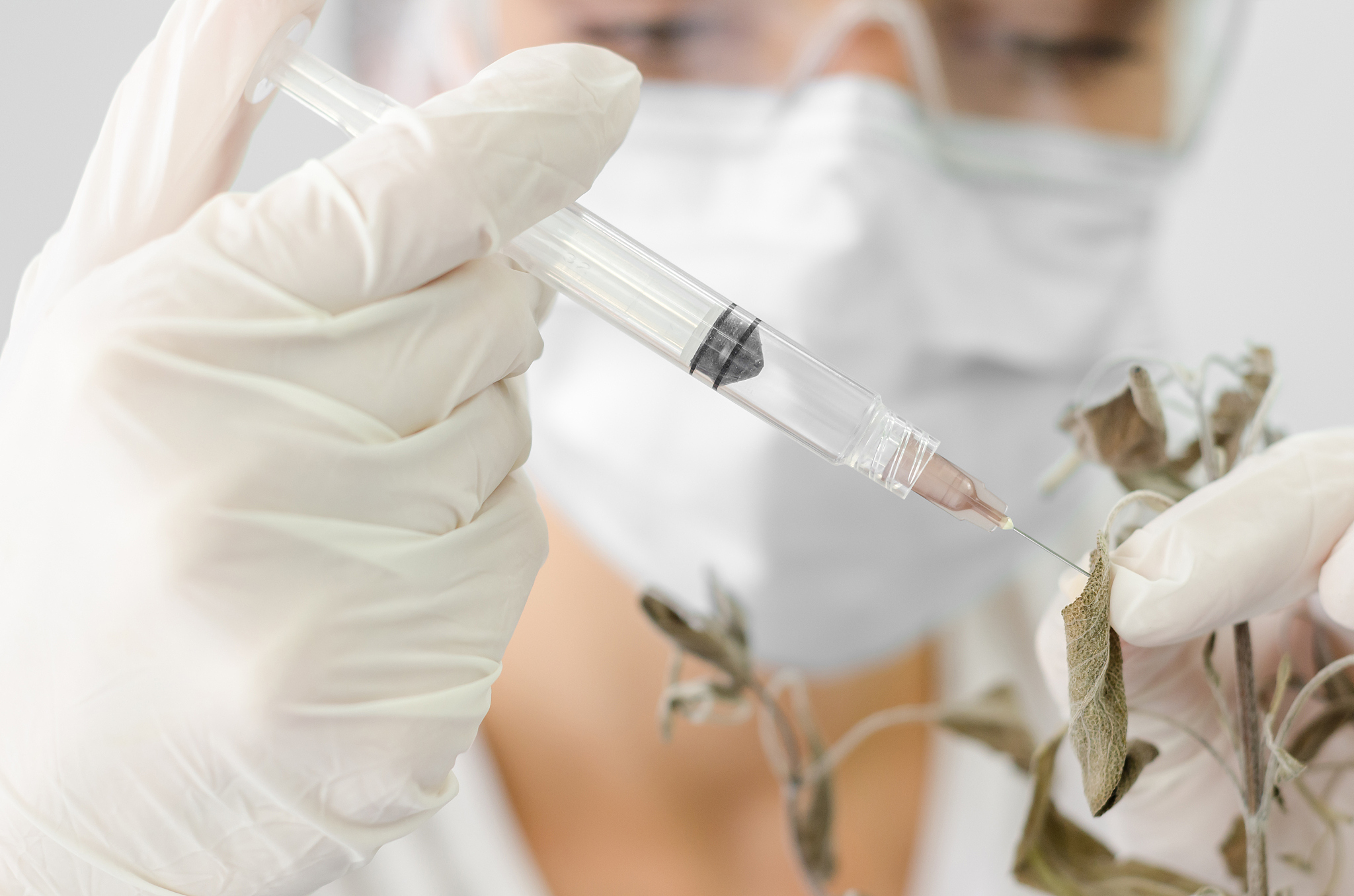 内蒙古大学生物科学专业怎么样