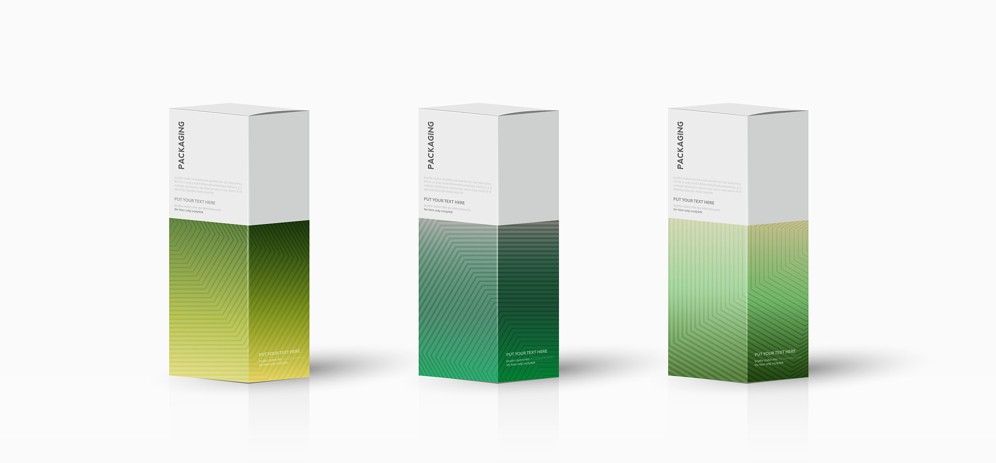 box, packaging template for product vector design illustration.