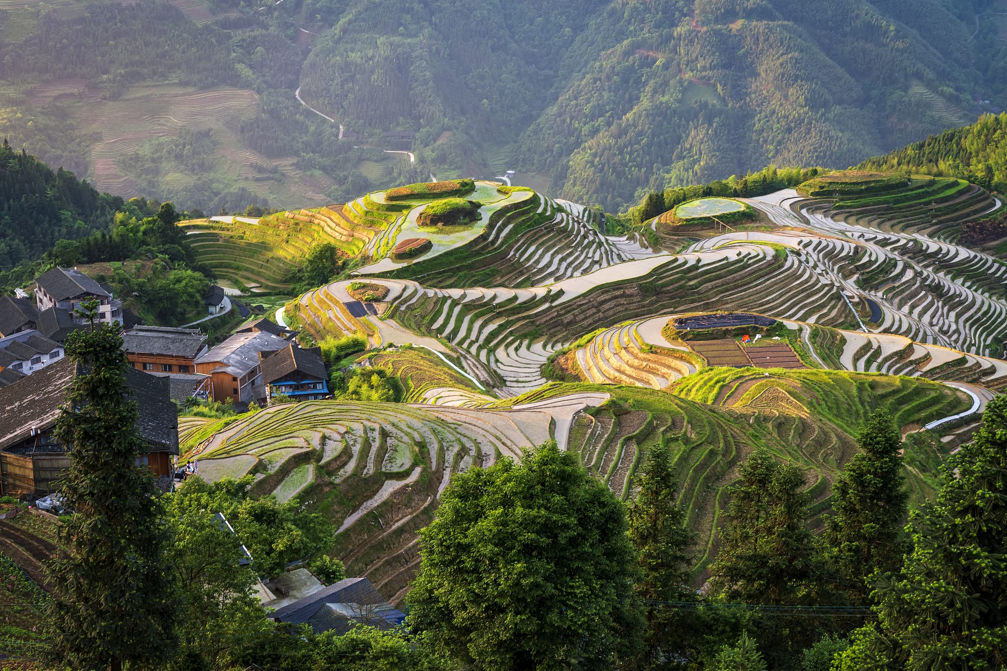 请用100字描述龙脊梯田层层叠叠 一圈圈阳光洒下时的场景