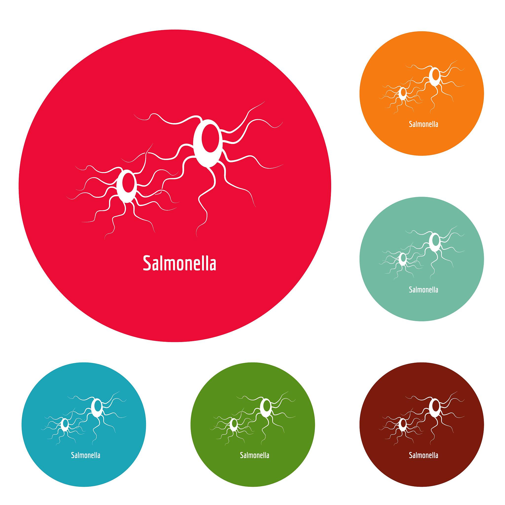 连续5篇长日记关于小明吃路边摊感染沙门氏菌在学校拉肚子五天