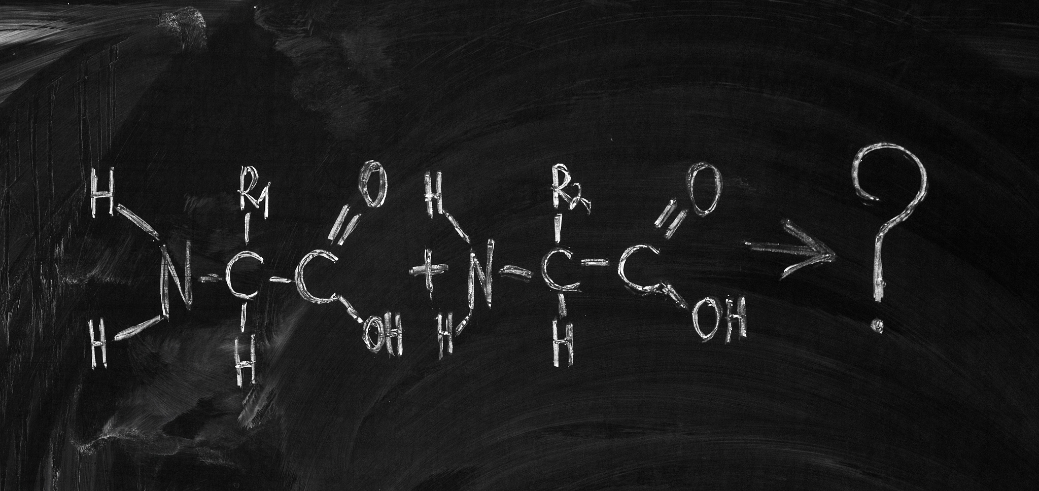 amino acid's formula