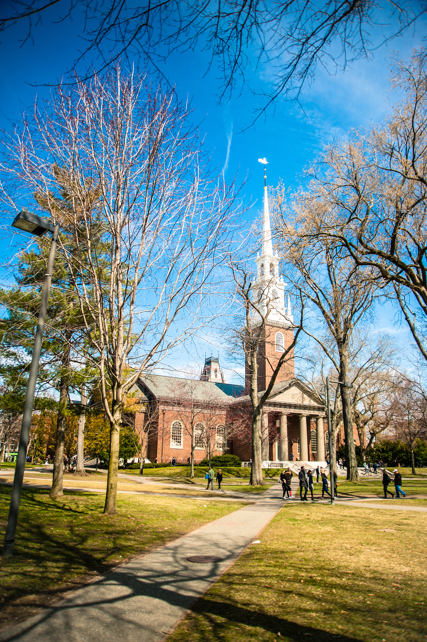 harvard university campus