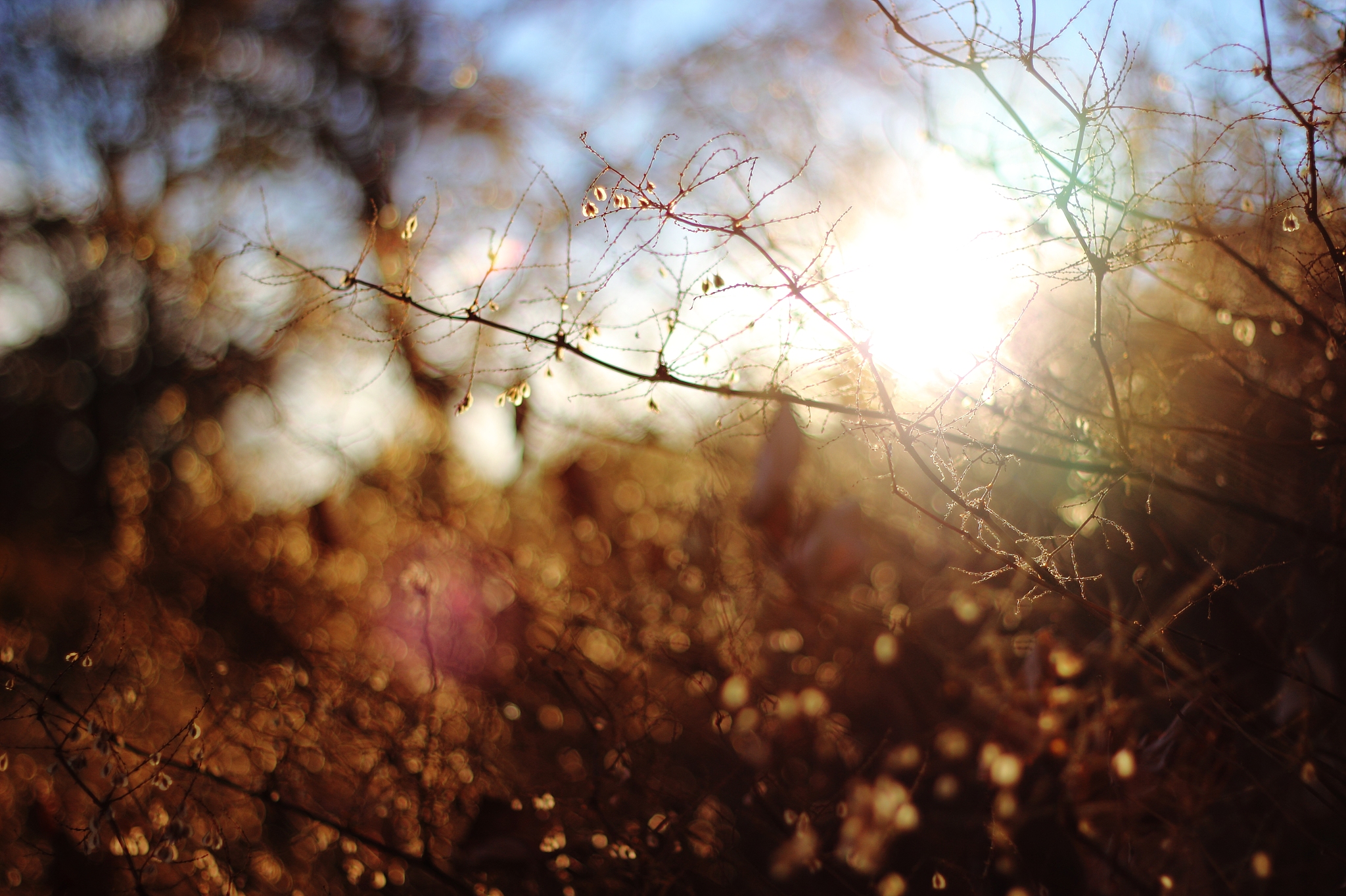 秋思：一首关于真爱和流逝时光的诗歌