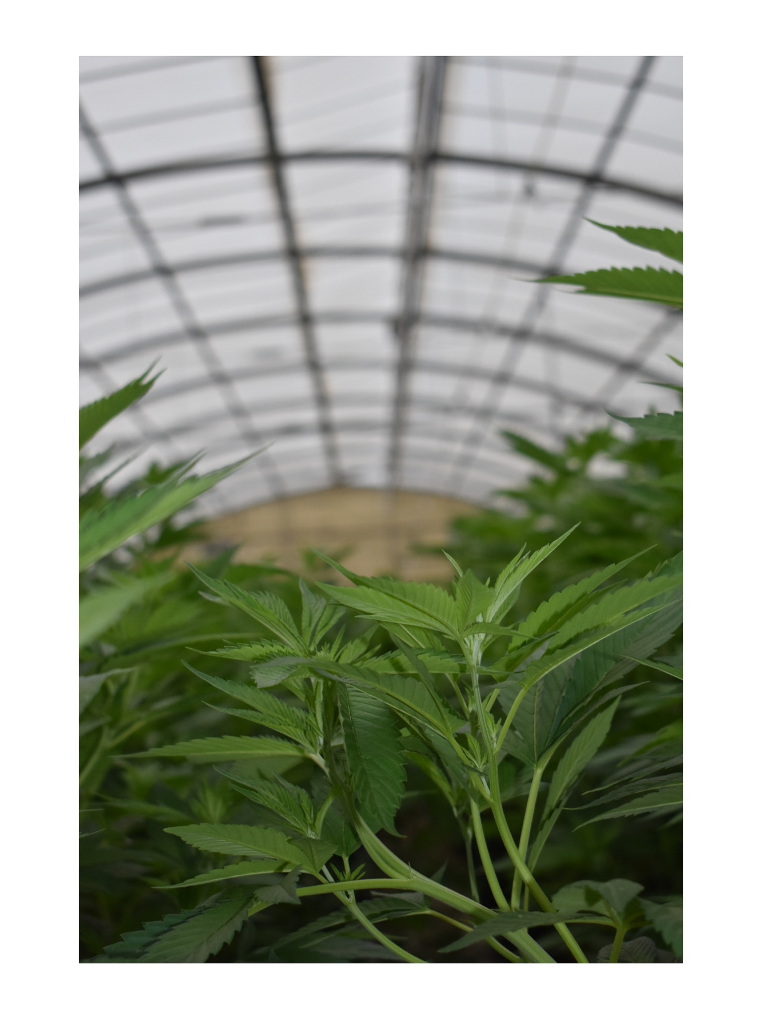 云南三鑫职业技术学院2023年有哪些专业