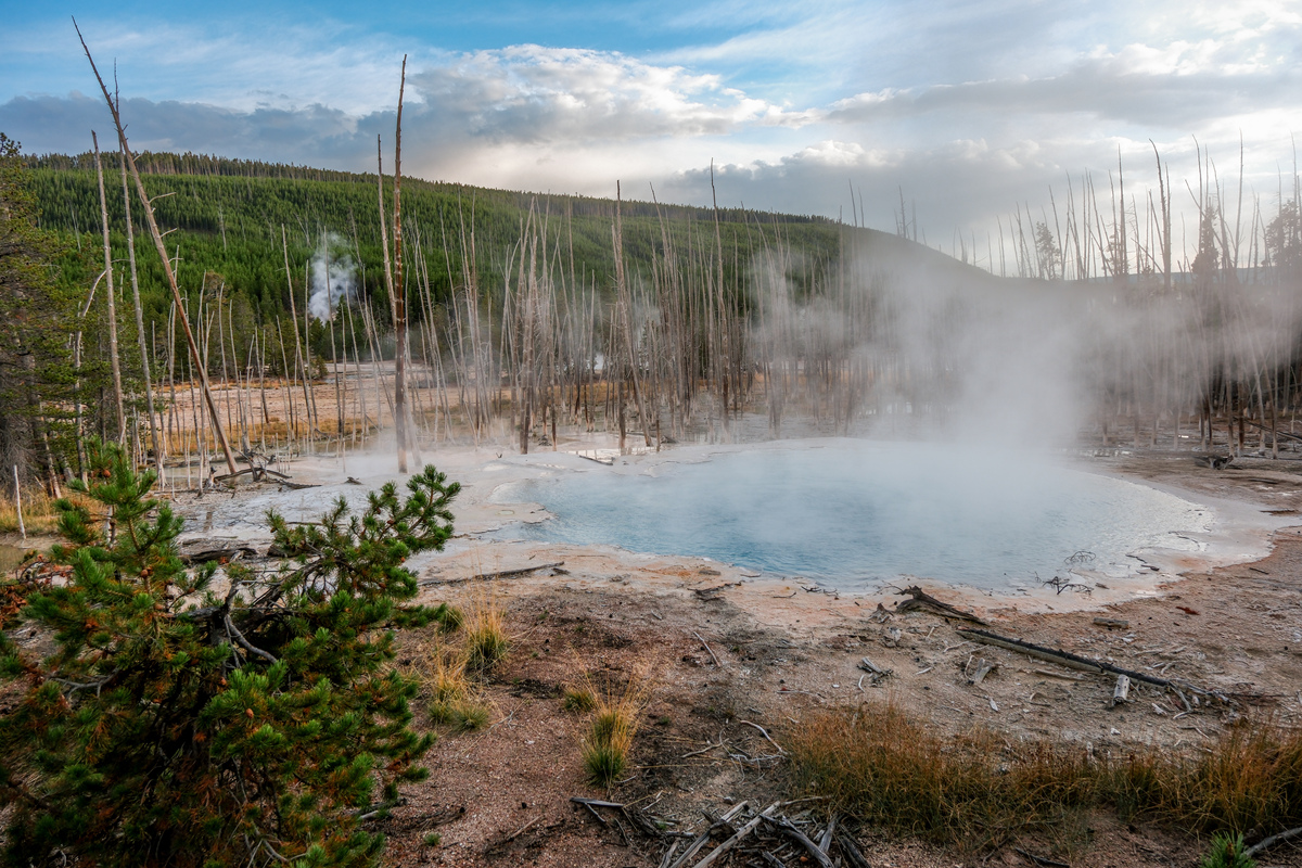 西安市涉外旅游职业学校2021年开设有哪些专业