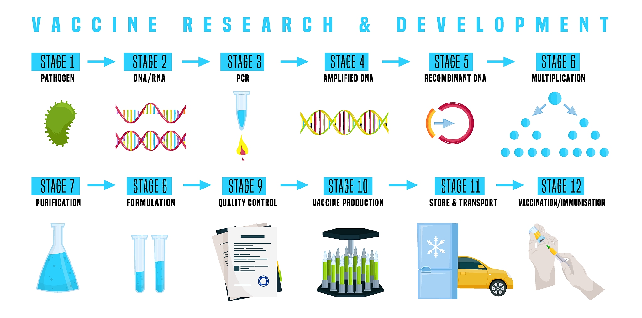 项目经历花菁染料合成：负责人 202112-至今	项目介绍：根据企业要求对目前合成方法未公开的花菁染料进行合成。在实验室进行小试以及中试最终能在企业进行量产；	负责工艺设计：查阅文献确定官能团兼容性在实验操作简单安全毒性较低的前提下确定最初工艺路线；	负责工艺优化：