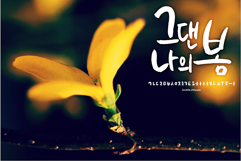 山西旅游职业学院应用韩语专业就业前景如何-怎么样