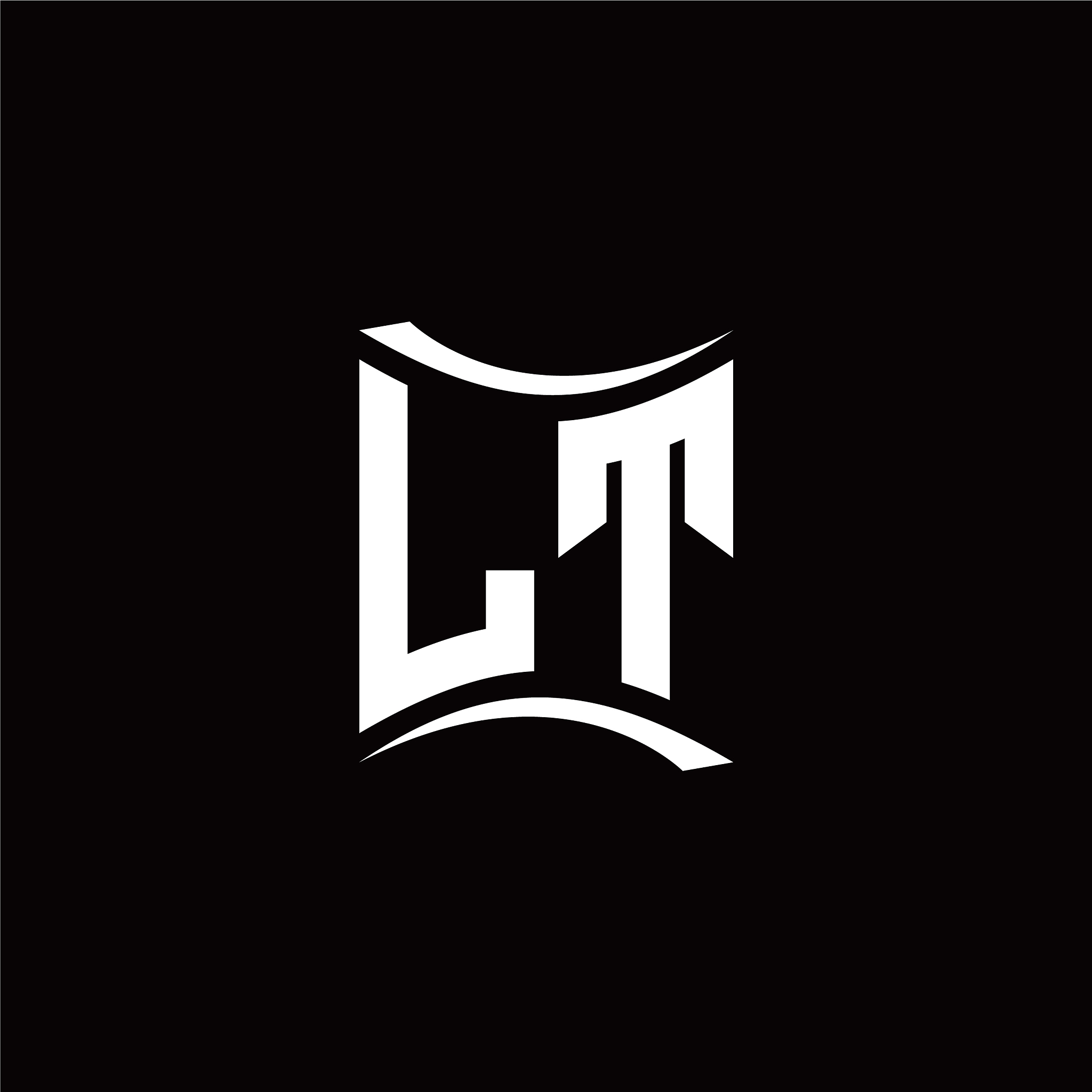 lt initial letter logo design modern template