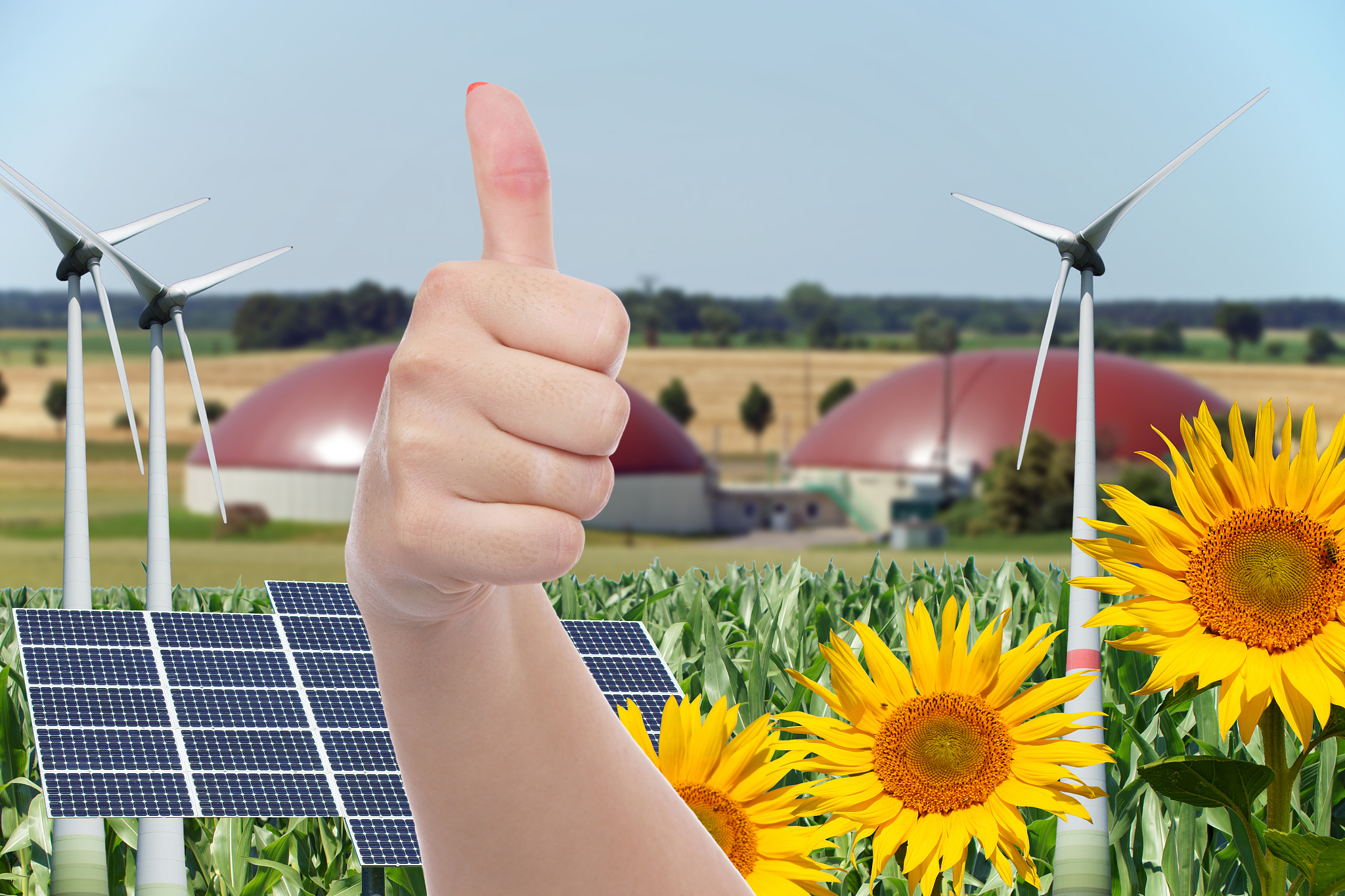 农村乡镇清洁供暖社会调研：以新兴生物质能源为突破口