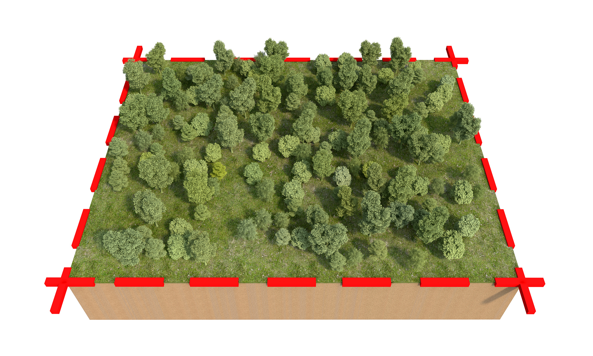 植物体积计算：叶面积乘以株高真的准确吗？