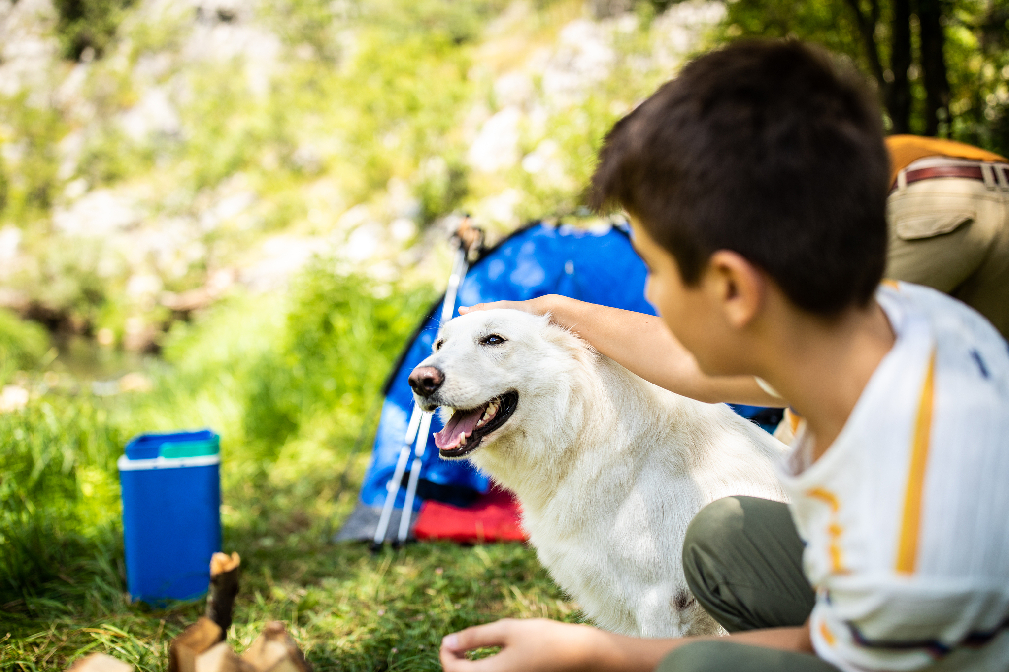 以宠物的重要性：保护环境和生物多样性的重要角色为题写一篇1100文章