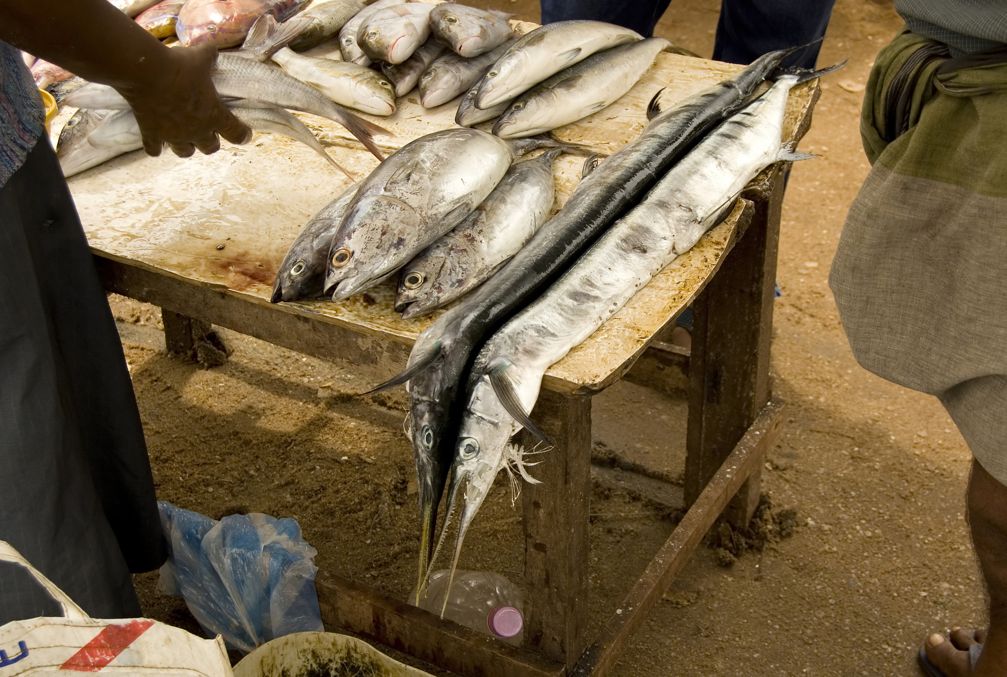 海鲜壳与生物塑料：可持续创新产品设计点子