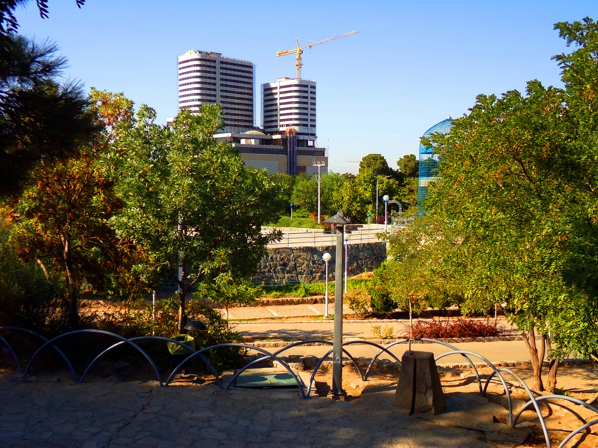 延安市宝塔区'大树进城'的生态风险：破坏原生地系统？