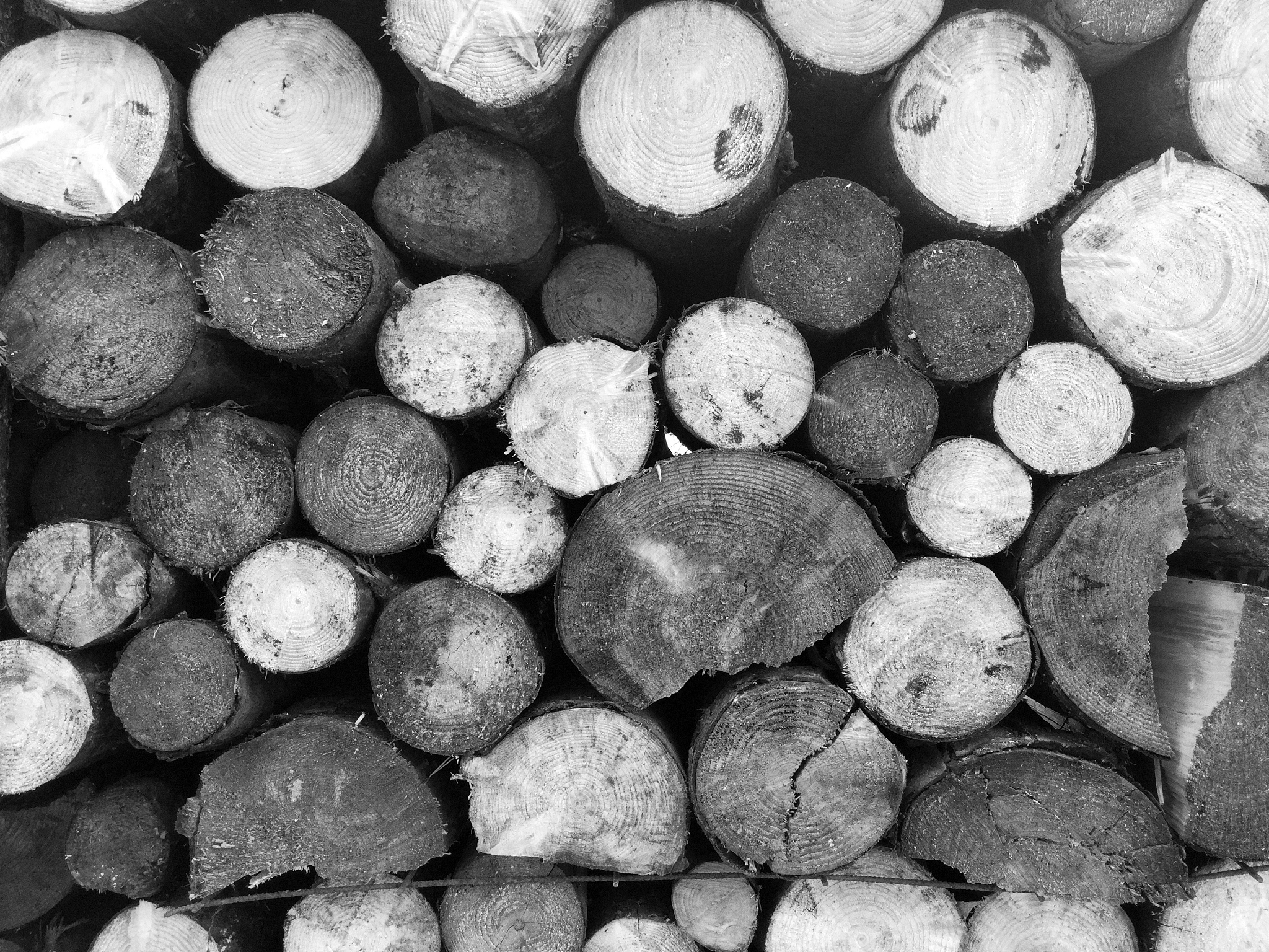 帮我围绕硅铁的外表特性包括密度、粒度、直径取一个主题要能够吸引受众注意